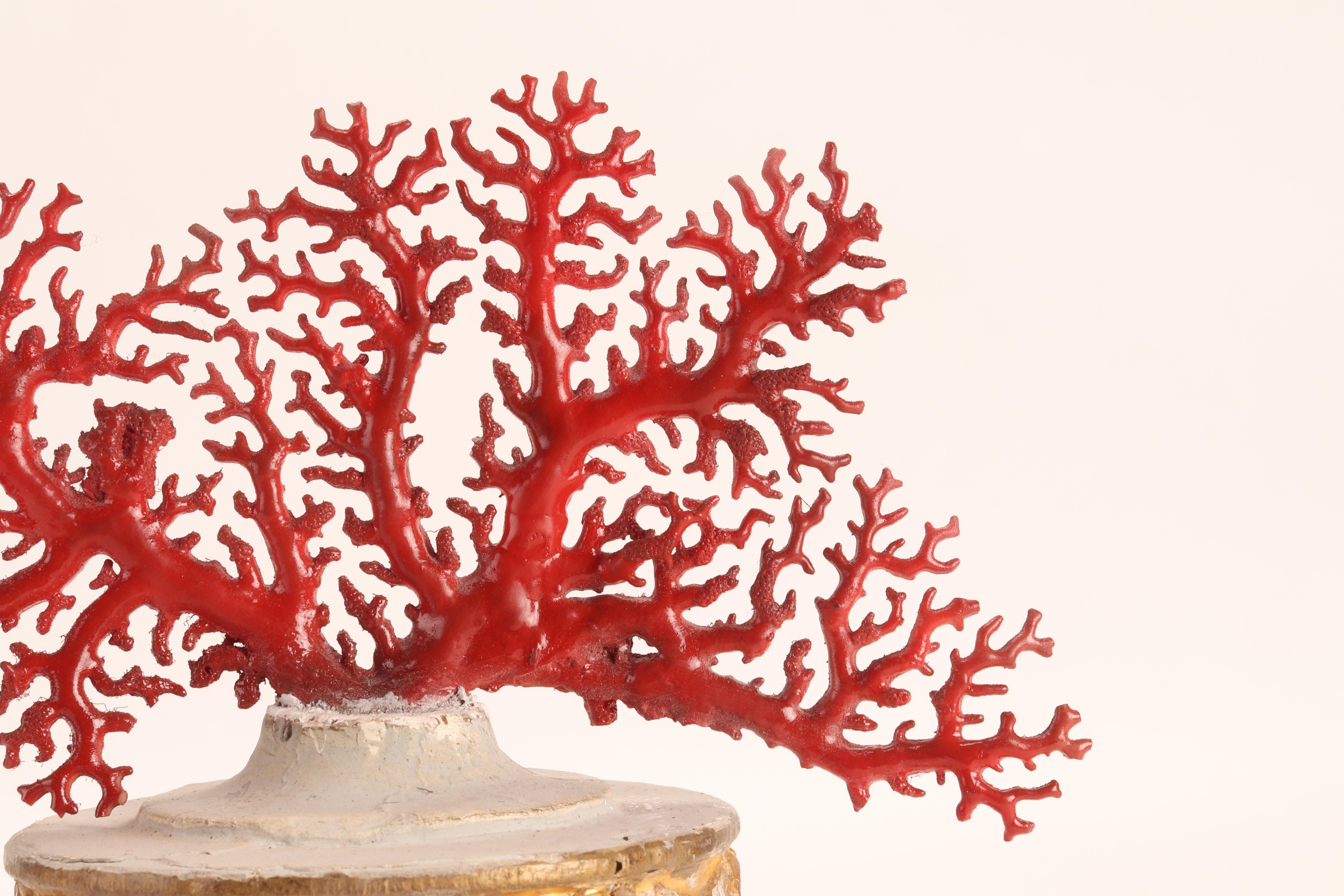 Natural Specimen, a Branch of Red Coral, Italy, 1870 1