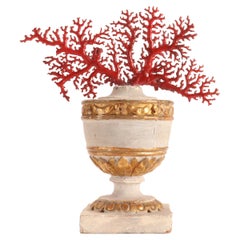 Natural Specimen, a Branch of Red Coral, Italy, 1870