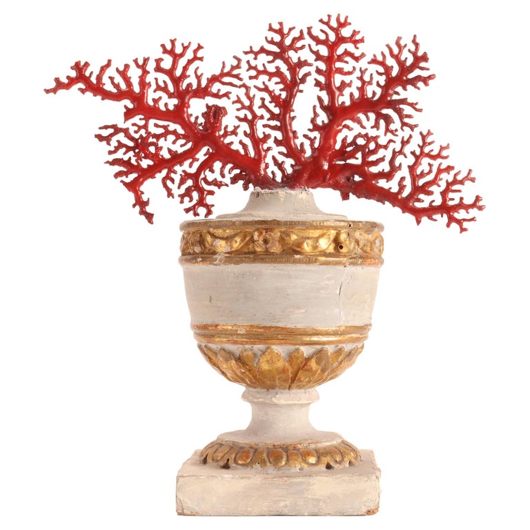 Natural Specimen, a Branch of Red Coral, Italy, 1870 For Sale