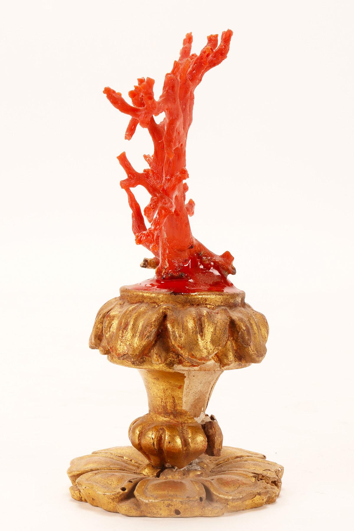 Italian A natural specimen: a branch of red coral, Italy 1880. 