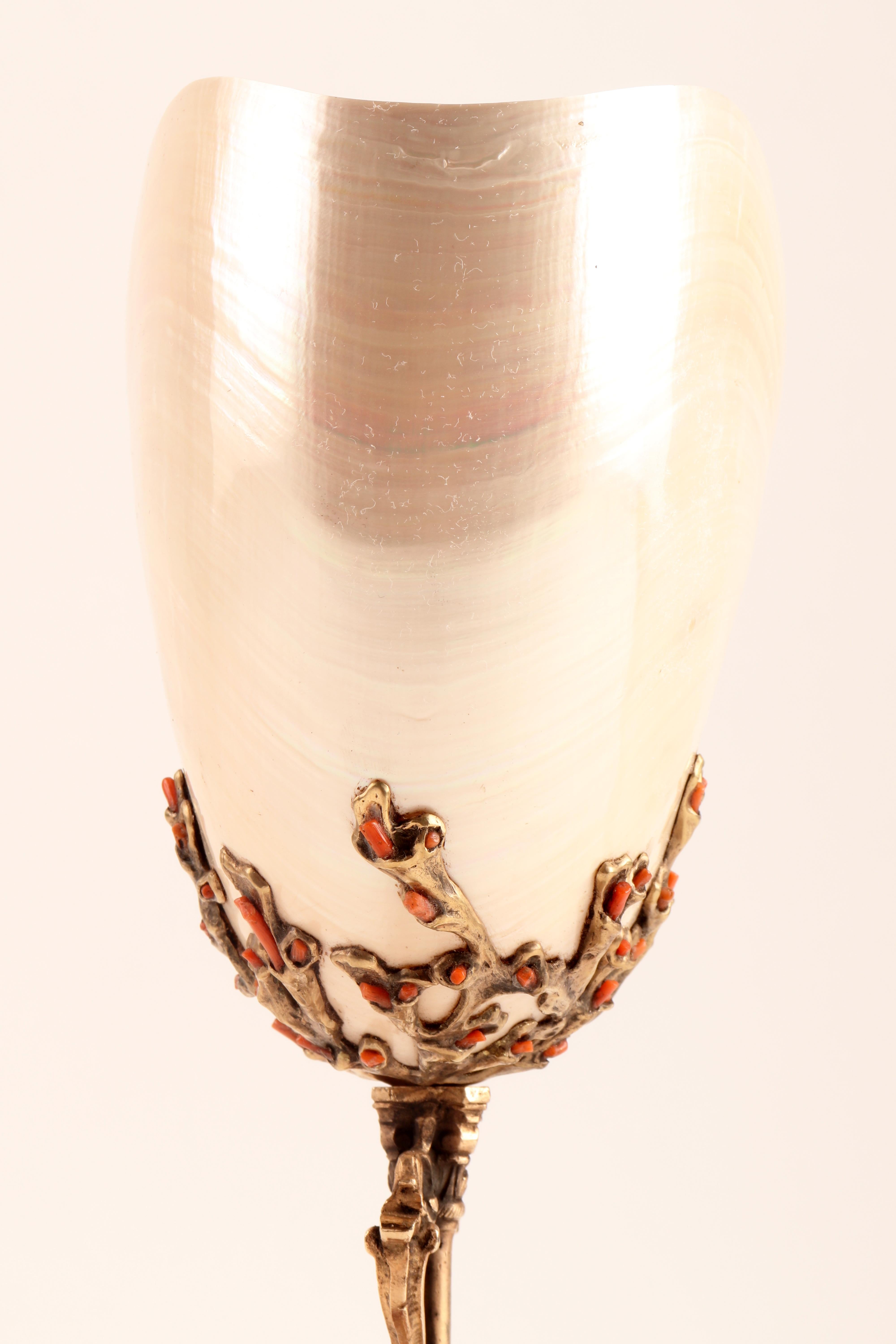 Nautilus Pompilius Mounted with Pieces of Coral from Trapani, Italy, 1870 5