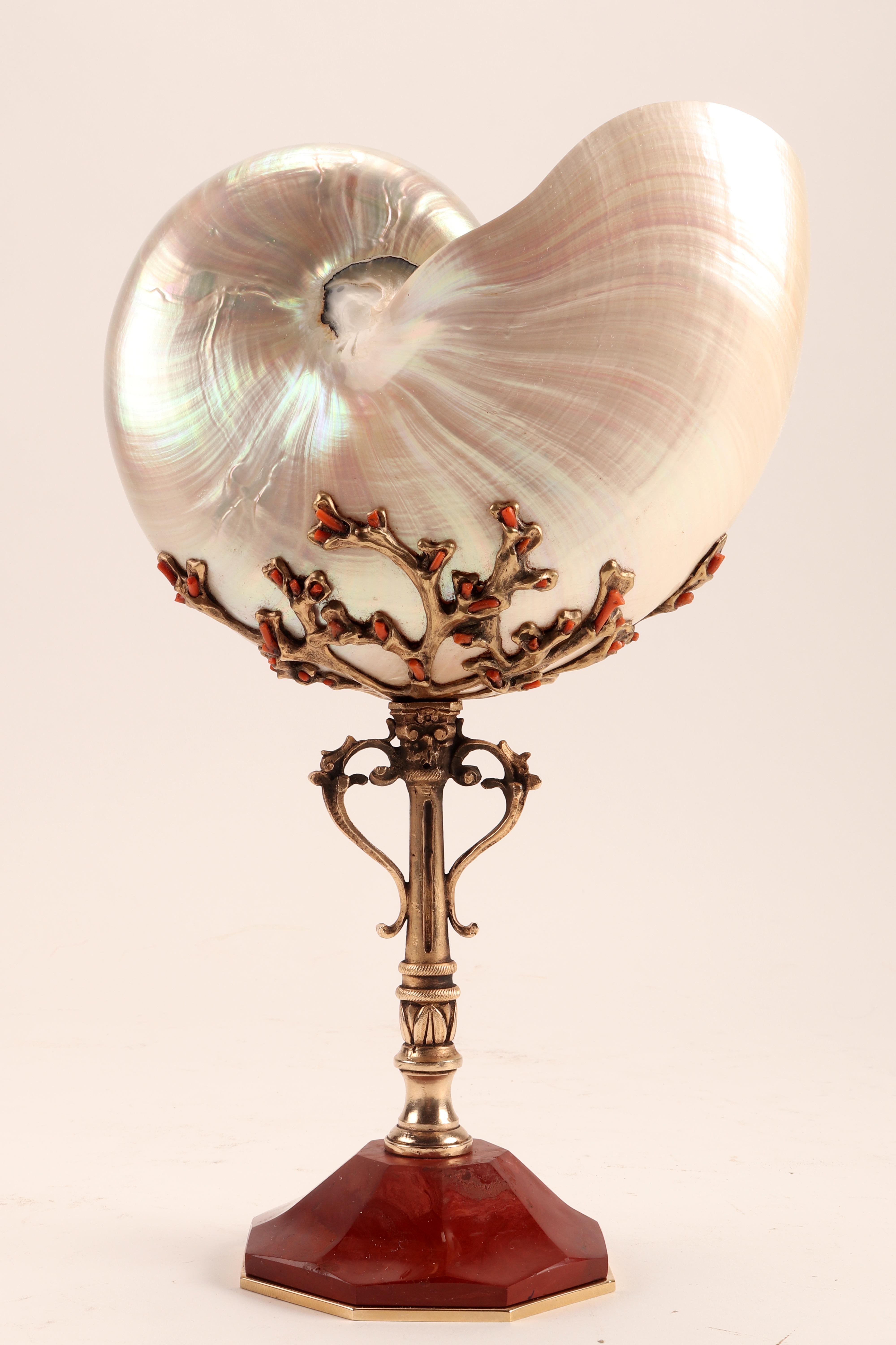 Italian Nautilus Pompilius Mounted with Pieces of Coral from Trapani, Italy, 1870