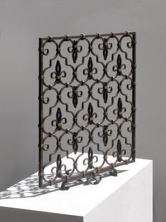 A NEOCLASSICAL ROYAL Wrought Iron FIRE FRAME or DECORATIVE GRID France 1960