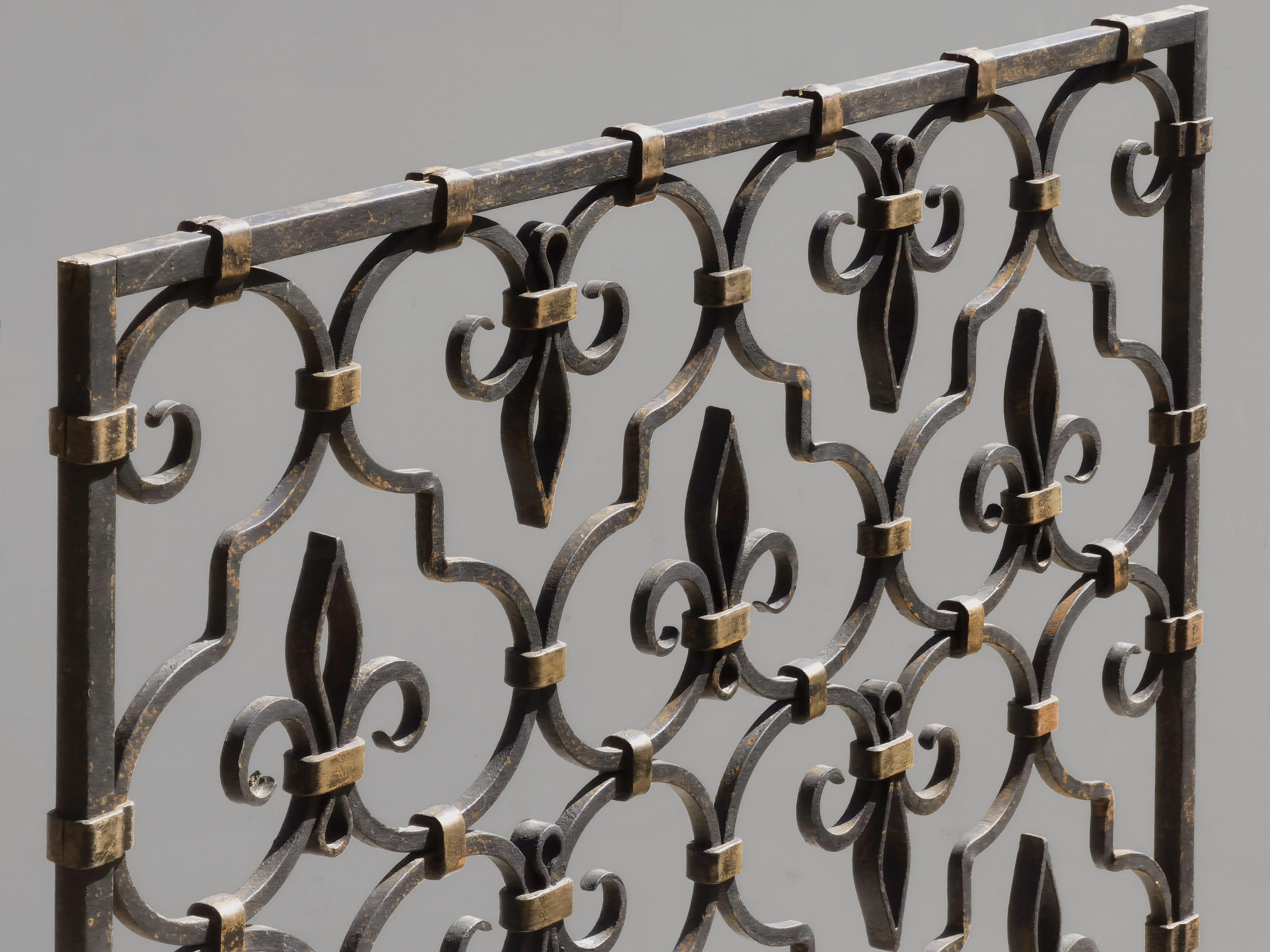 Neoclassical A NEOCLASSICAL ROYAL Wrought Iron FIRE FRAME or DECORATIVE GRID France 1960 For Sale