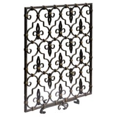 A NEOCLASSICAL ROYAL Wrought Iron FIRE FRAME or DECORATIVE GRID France 1960