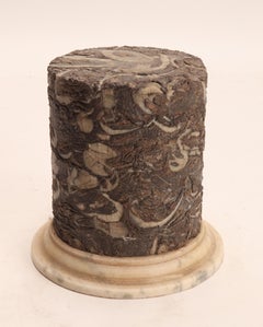 Neoclassical Sample of a Marbles, Rome, Italy, 1870