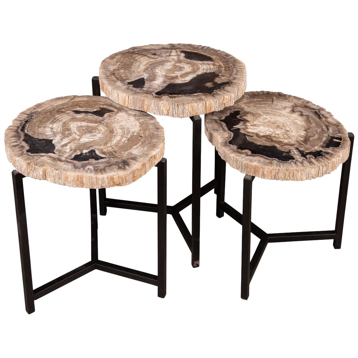 Nest of Three Petrified Wood 'Fossil' Tables on Black Metal Bases