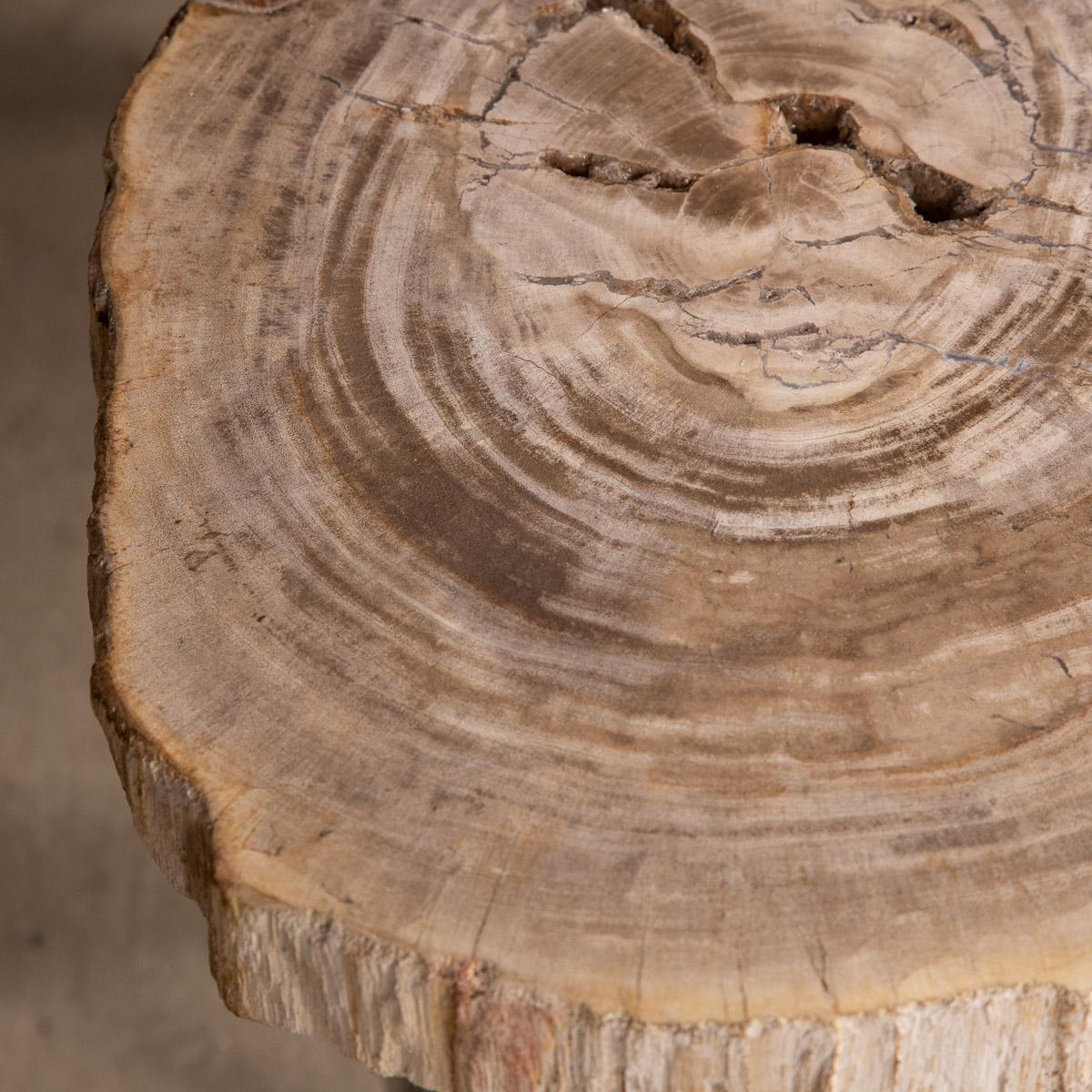 Ensemble de trois tables en bois pétrifié « Silver » sur bases chromées en vente 4