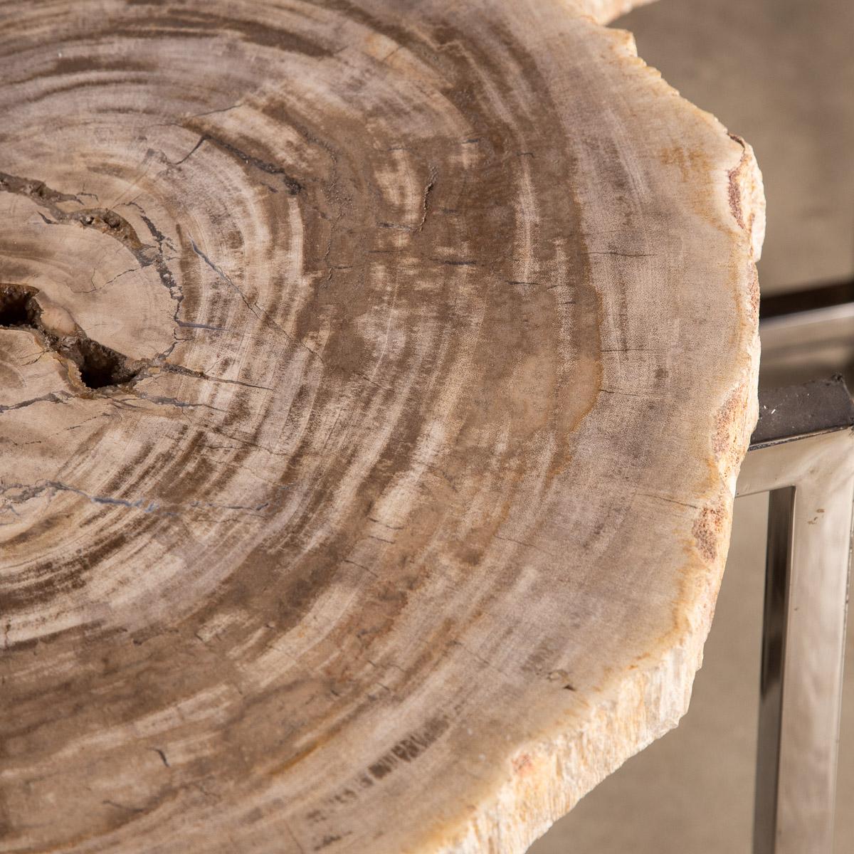 Nest of Three Petrified Wood 'Fossil' Tables on Chrome Bases For Sale 7