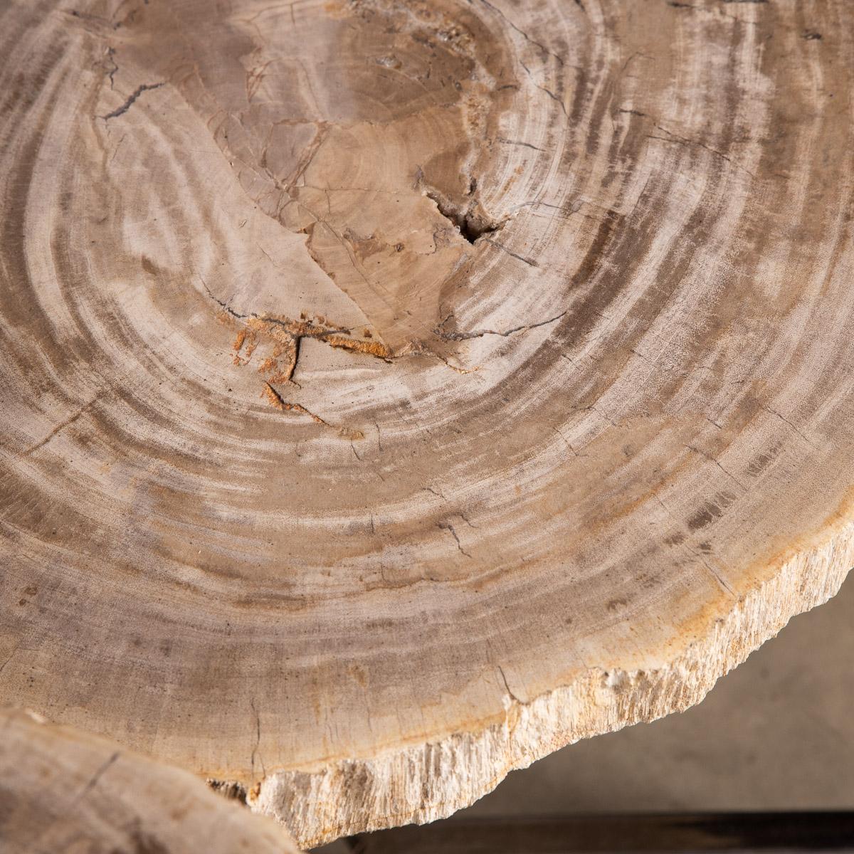 Nest of Three Petrified Wood 'Fossil' Tables on Chrome Bases For Sale 8