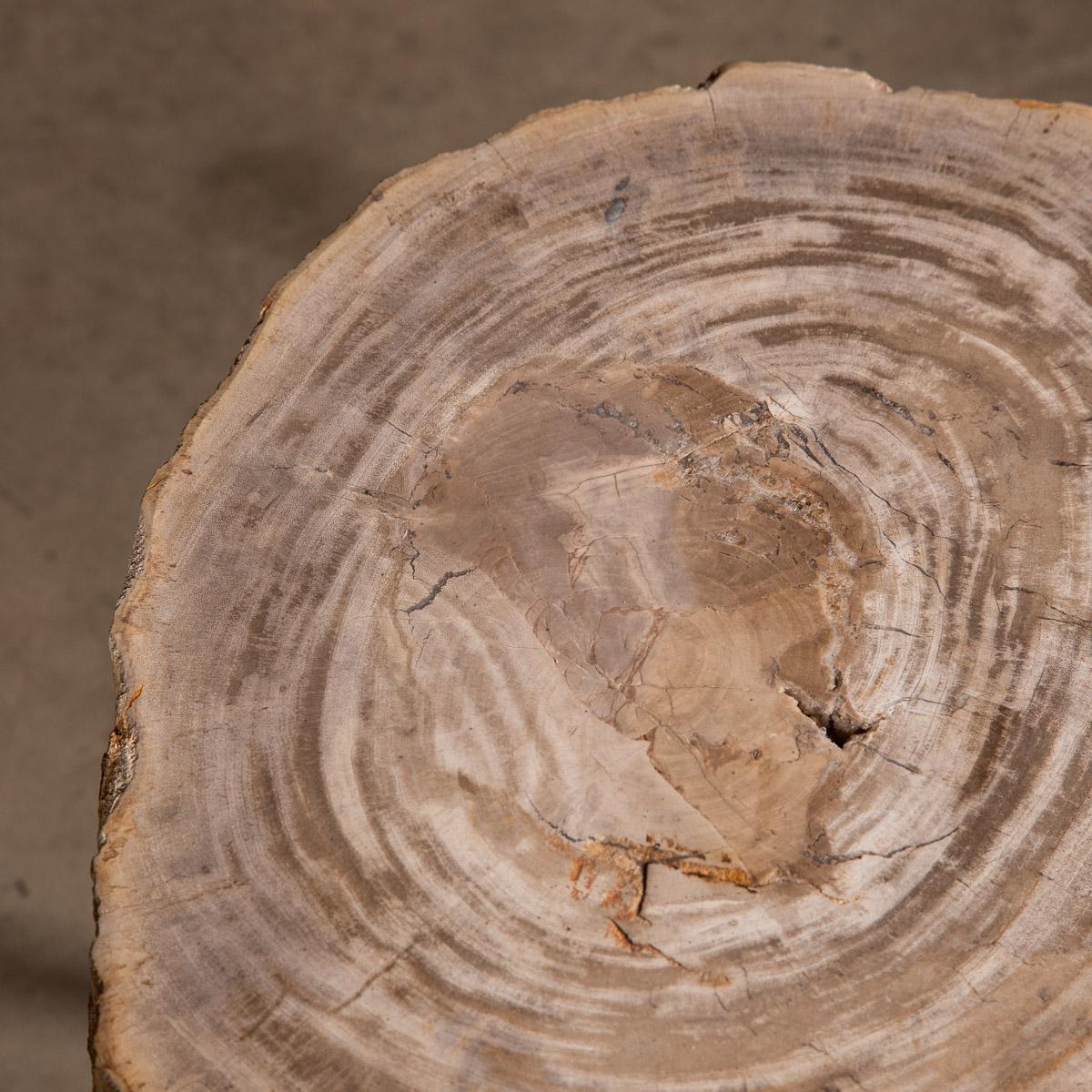 Ensemble de trois tables en bois pétrifié « Silver » sur bases chromées en vente 9