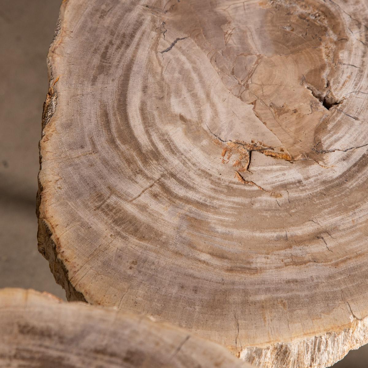 Ensemble de trois tables en bois pétrifié « Silver » sur bases chromées en vente 10