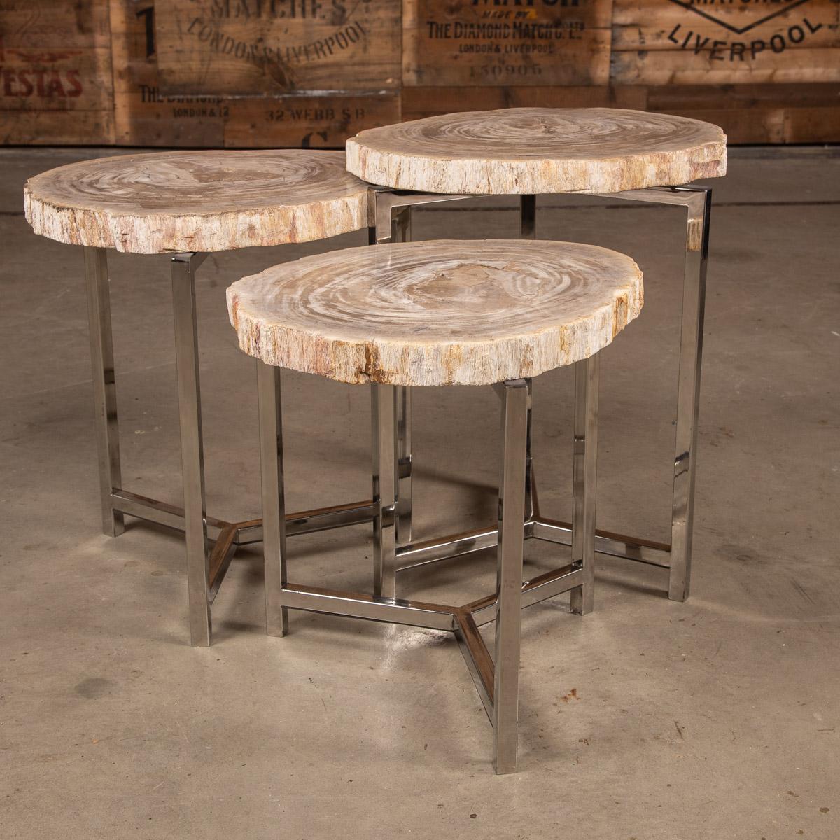 A nest of three petrified wood tables on chrome bases. These pieces have naturally formed over millions of years, keeping the natural edge and polishing the center to a high gloss, shows the fossil at it's best. Each piece of naturally formed stone