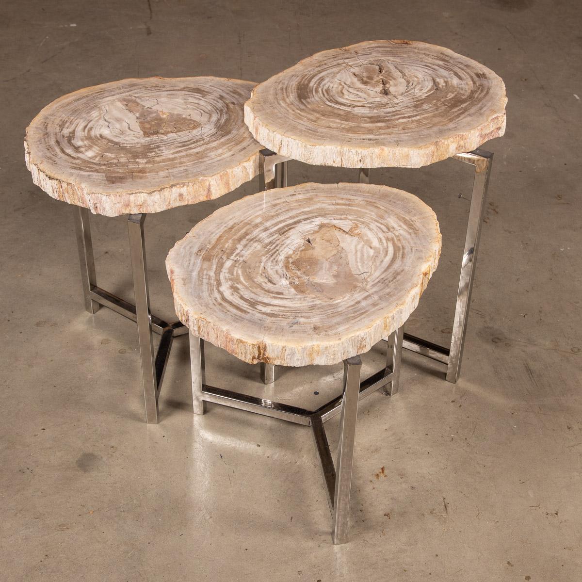 fossil tables