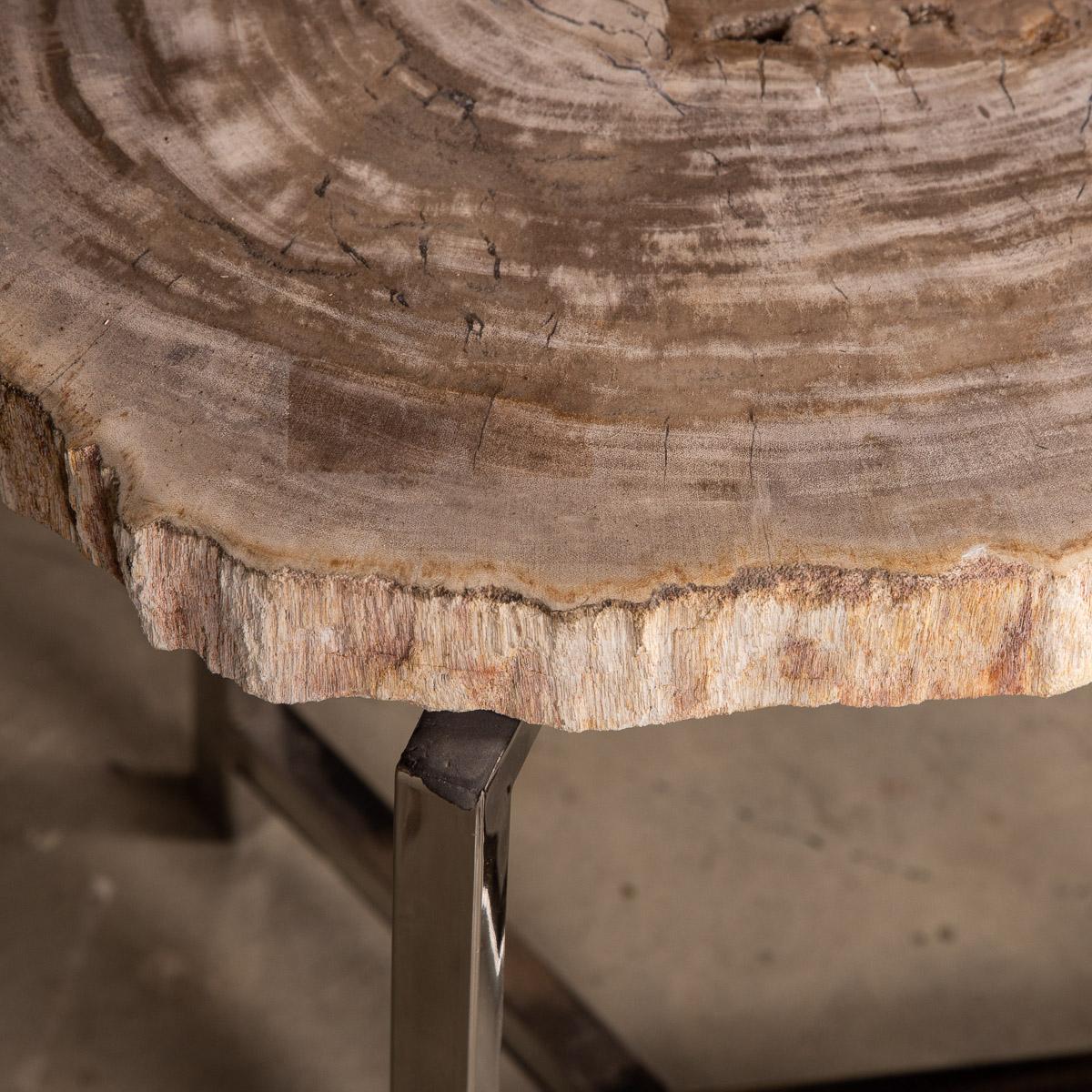 20th Century Nest of Three Petrified Wood 'Fossil' Tables on Chrome Bases For Sale