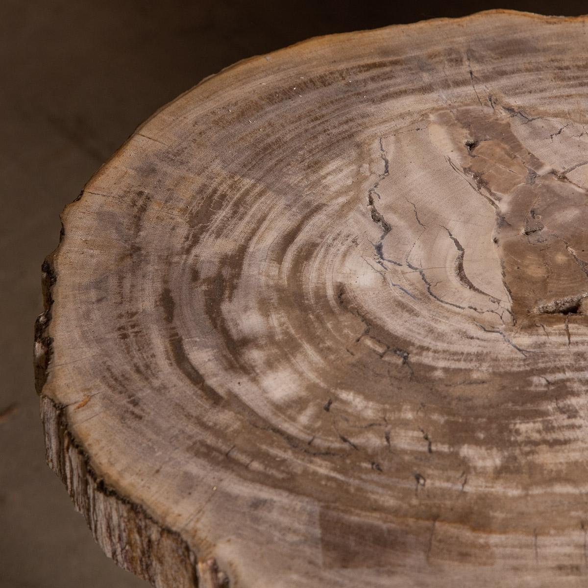 Bois fossilisé Ensemble de trois tables en bois pétrifié « Silver » sur bases chromées en vente