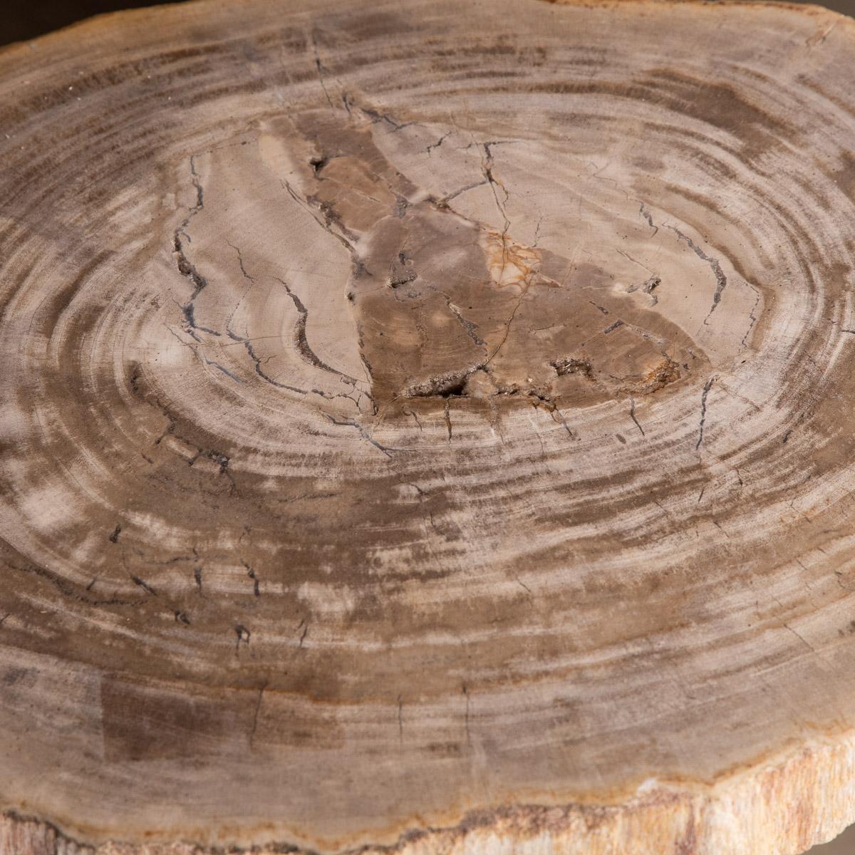 Nest of Three Petrified Wood 'Fossil' Tables on Chrome Bases For Sale 2