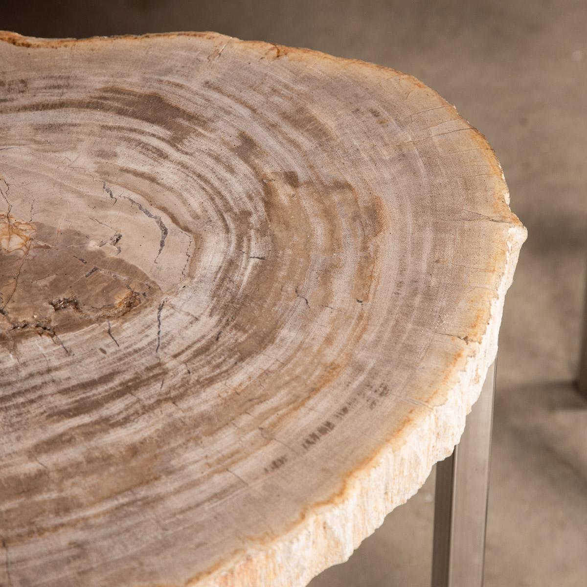 Nest of Three Petrified Wood 'Fossil' Tables on Chrome Bases For Sale 3