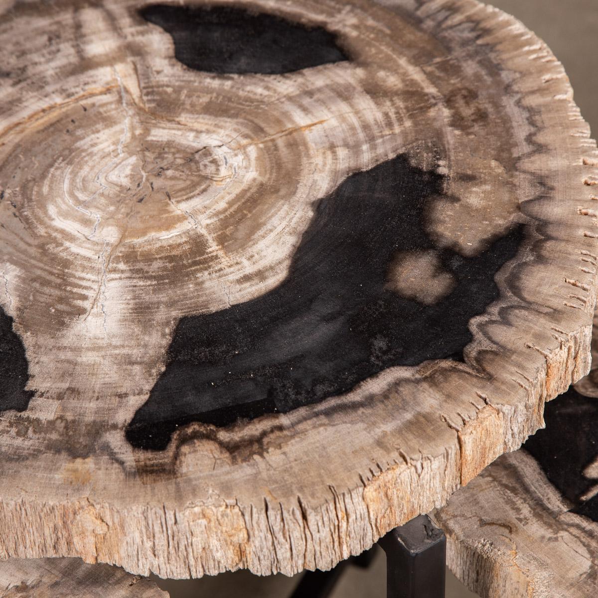 Nest of Three Petrified Wood 'Fossil' Tables on Black Metal Bases 6