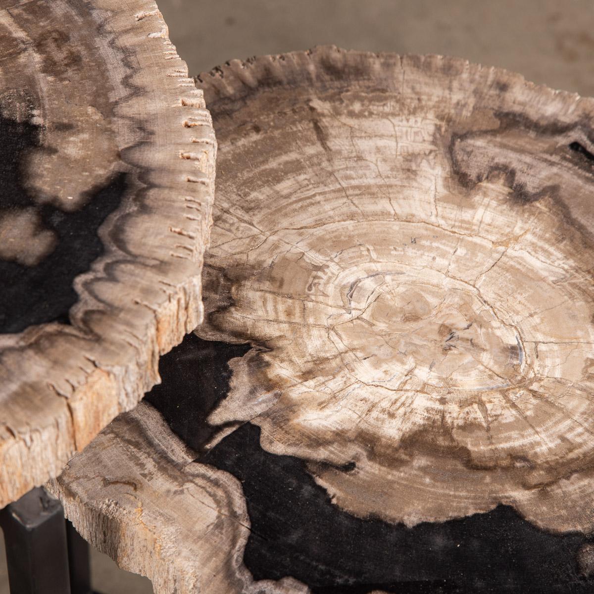 Nest of Three Petrified Wood 'Fossil' Tables on Black Metal Bases 7