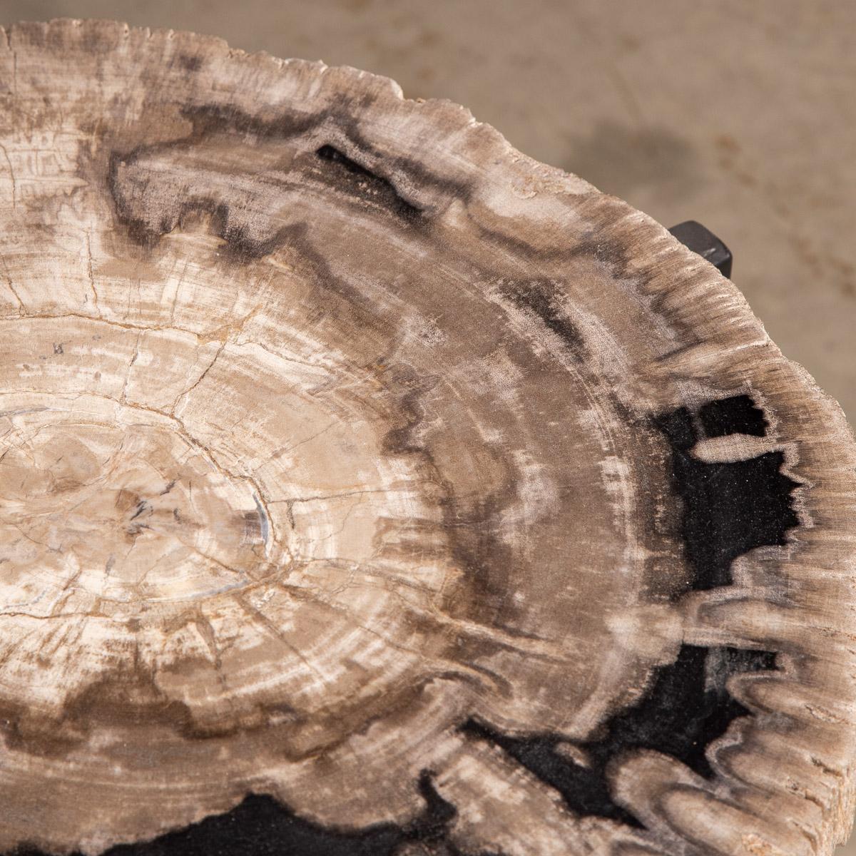 Nest of Three Petrified Wood 'Fossil' Tables on Black Metal Bases 8