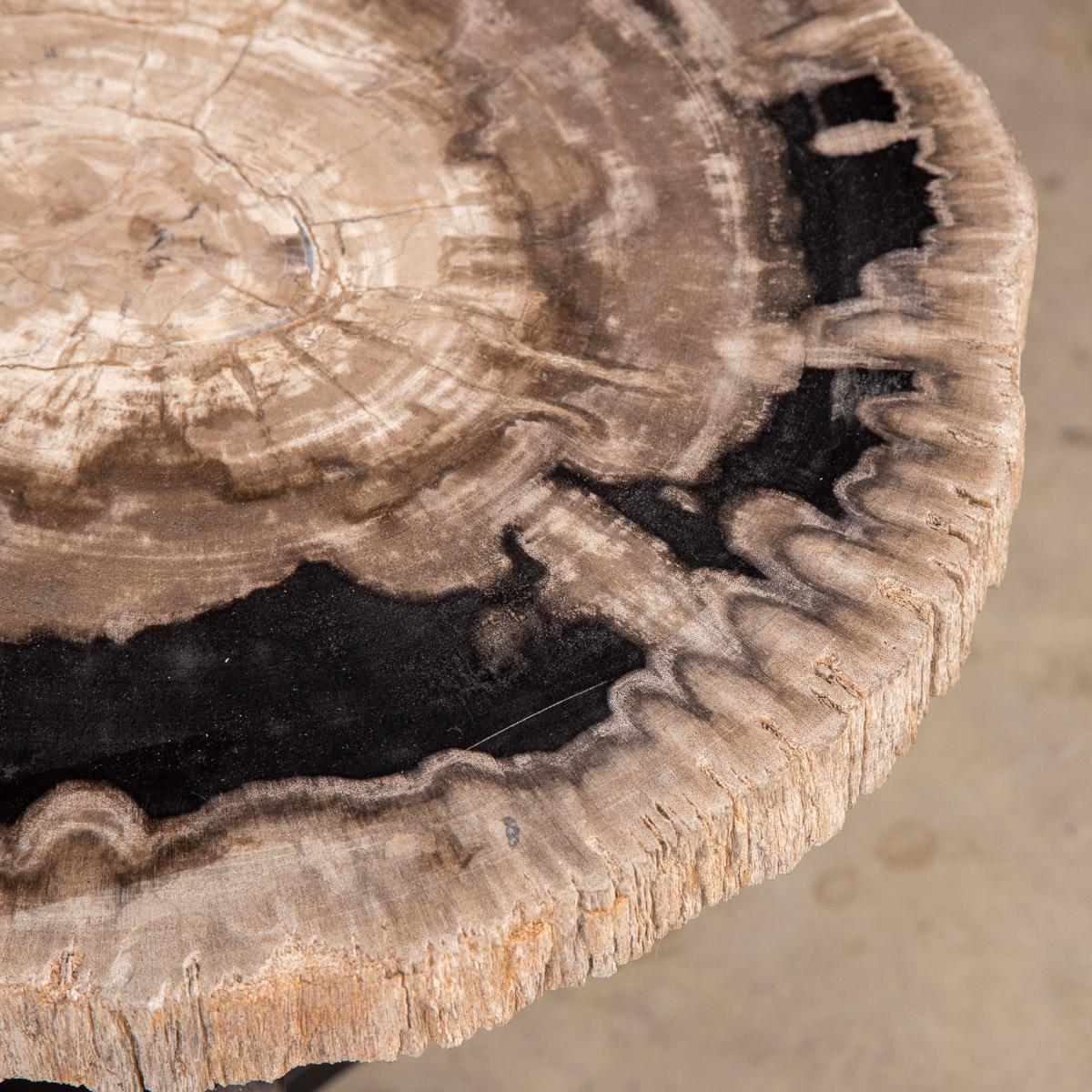 Nest of Three Petrified Wood 'Fossil' Tables on Black Metal Bases 9
