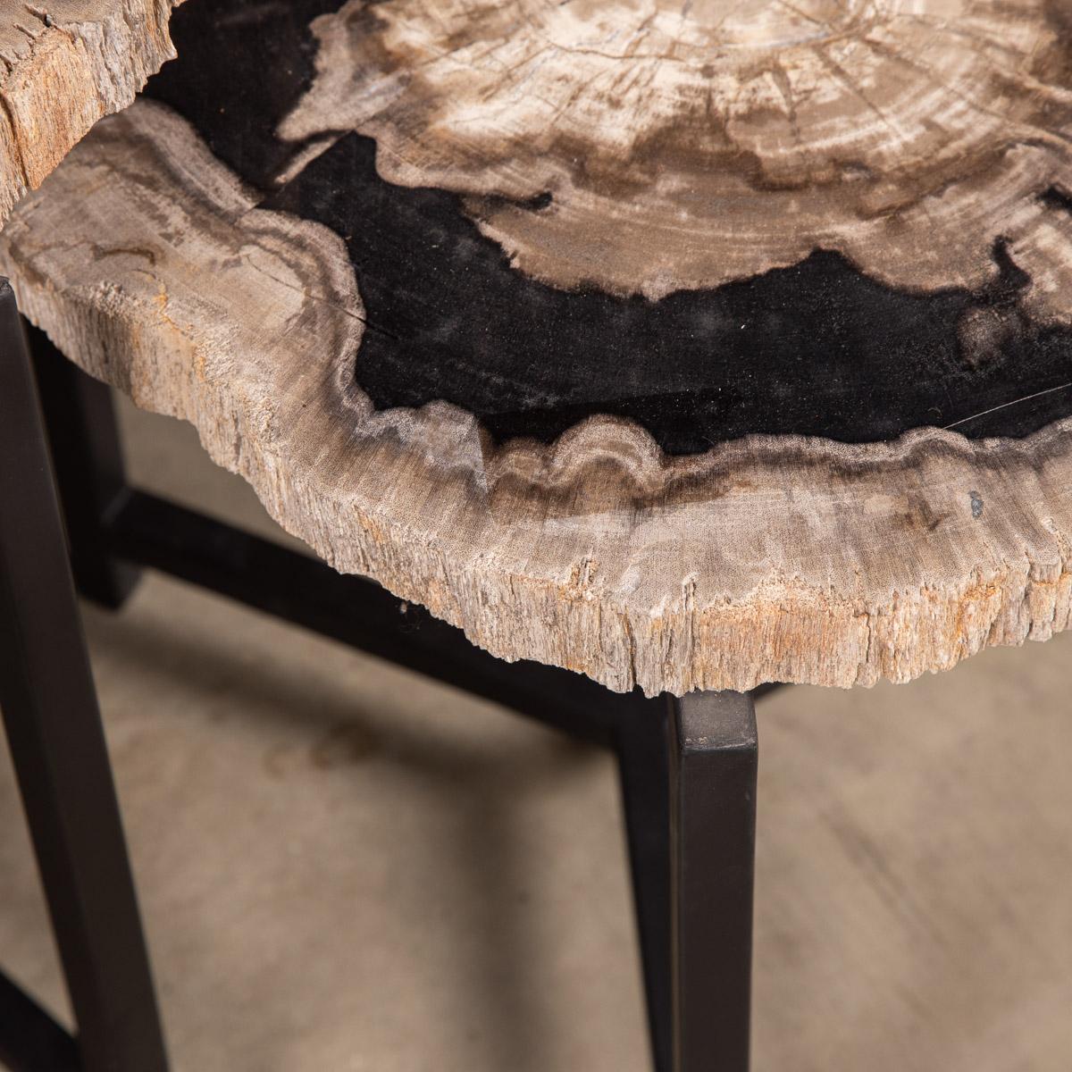 Nest of Three Petrified Wood 'Fossil' Tables on Black Metal Bases 10