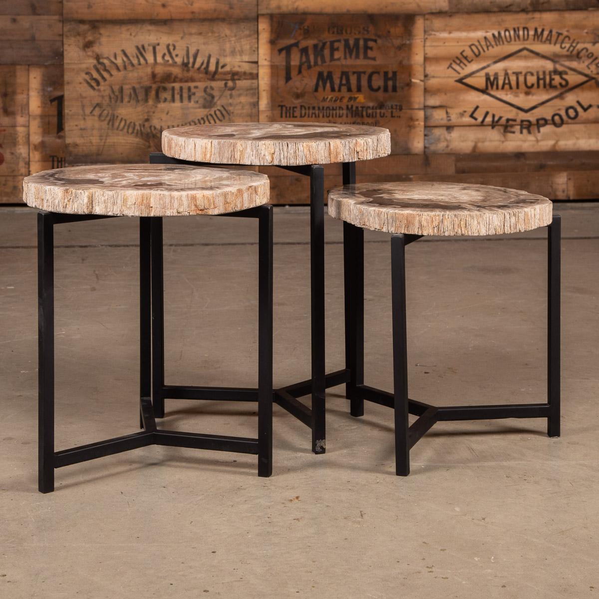 A nest of three petrified wood tables on black metal bases. These pieces have naturally formed over millions of years, keeping the natural edge and polishing the center to a high gloss, shows the fossil at it's best. Each piece of naturally formed