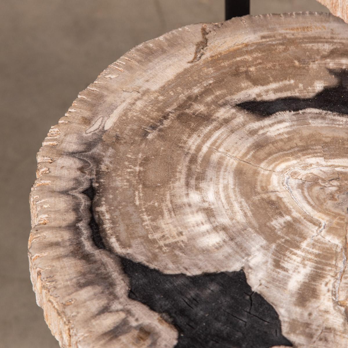 20th Century Nest of Three Petrified Wood 'Fossil' Tables on Black Metal Bases
