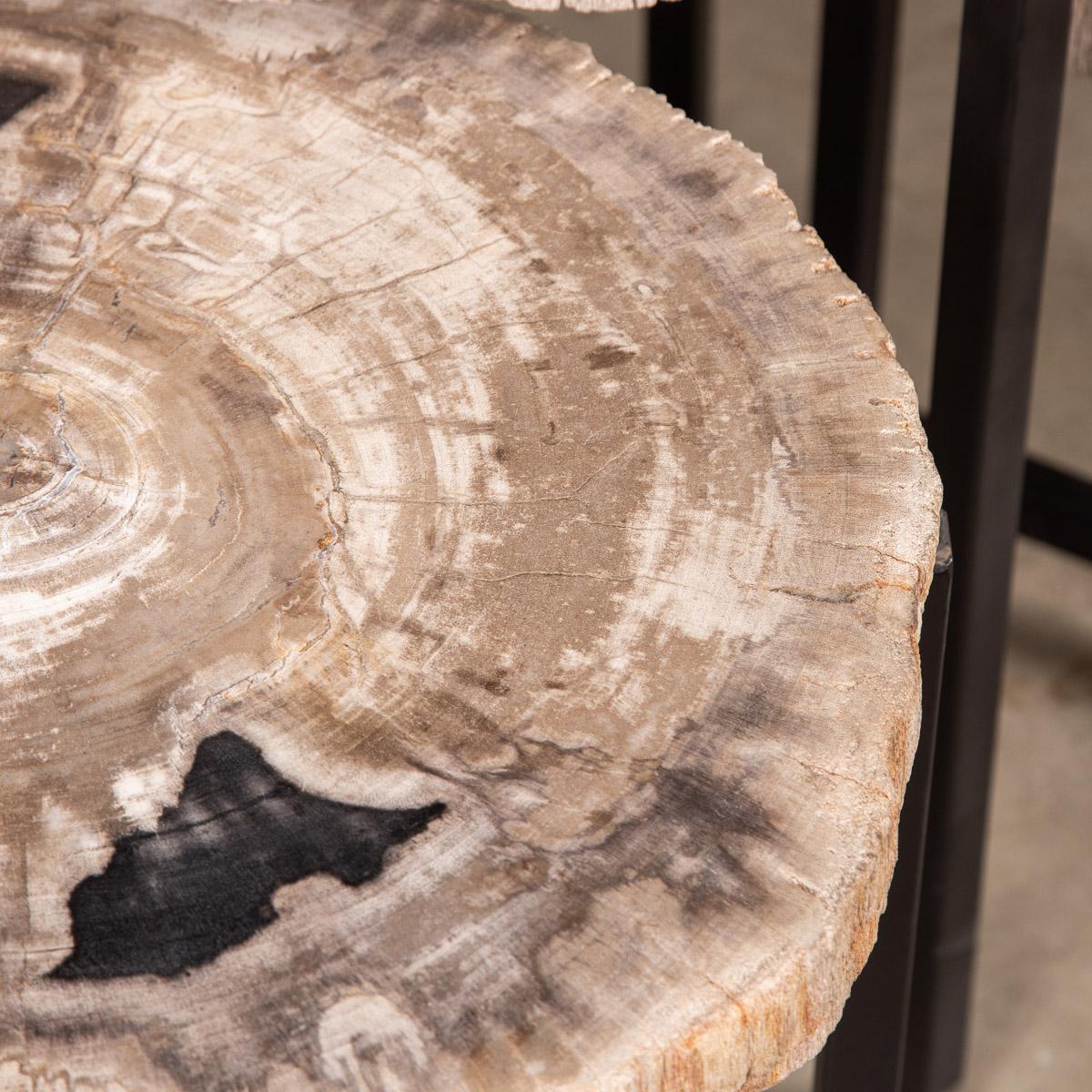 Nest of Three Petrified Wood 'Fossil' Tables on Black Metal Bases 3