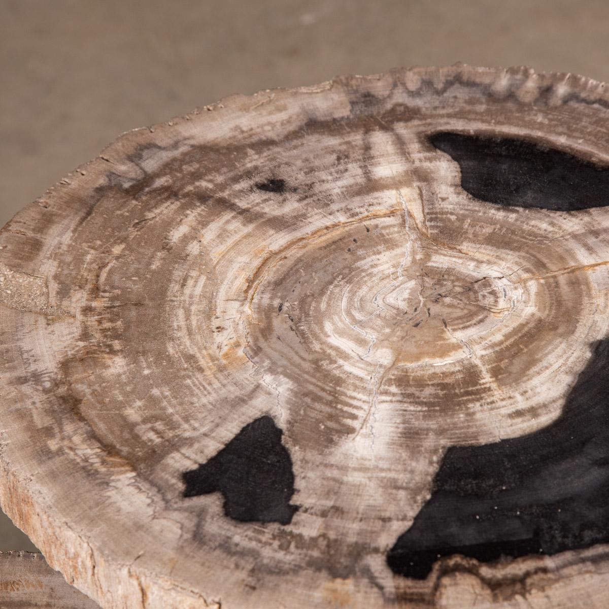 Nest of Three Petrified Wood 'Fossil' Tables on Black Metal Bases 5