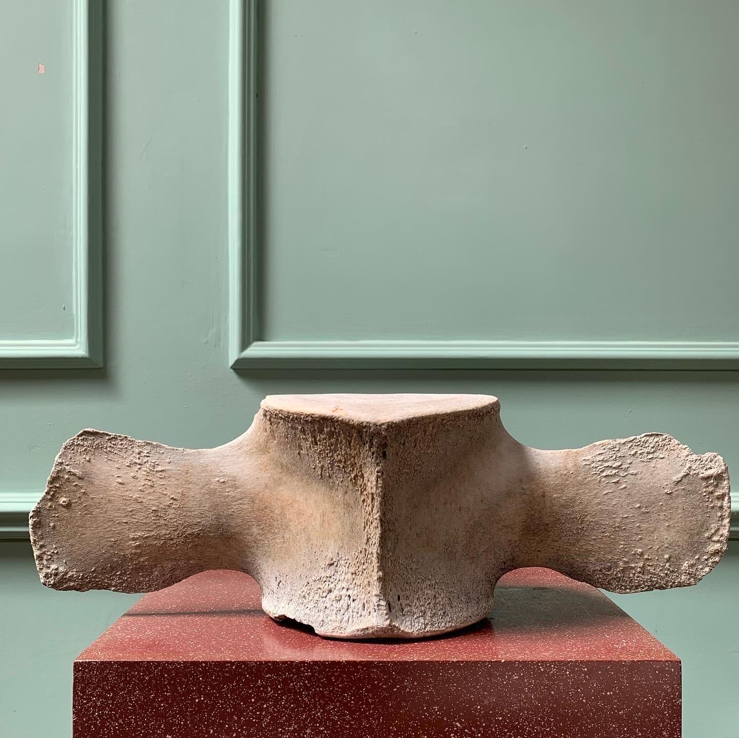 A Nineteenth Century Whalebone Vertebrae In Good Condition In London, GB