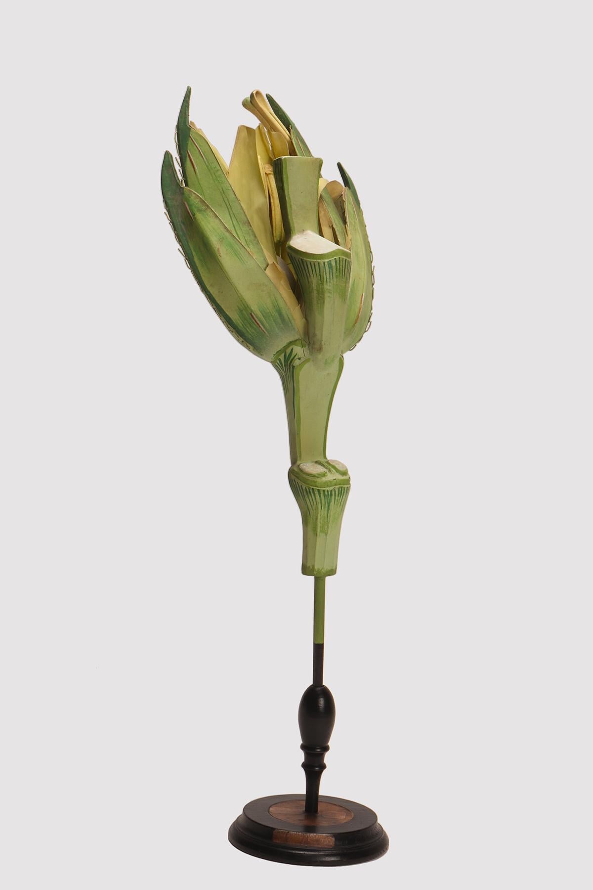 Un spécimen botanique didactique représentant une fleur de blé (Triticum durum), réalisé en papier mâché et en métal avec une base en bois noir, peint à la main. Extrêmement détaillé. Osterloh Modell n.19. Allemagne vers 1900.