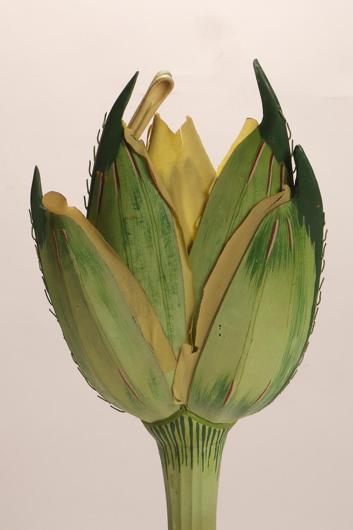 Modèle botanique d'une fleur de blé d'Osterloh, Allemagne, 1900 en vente 1