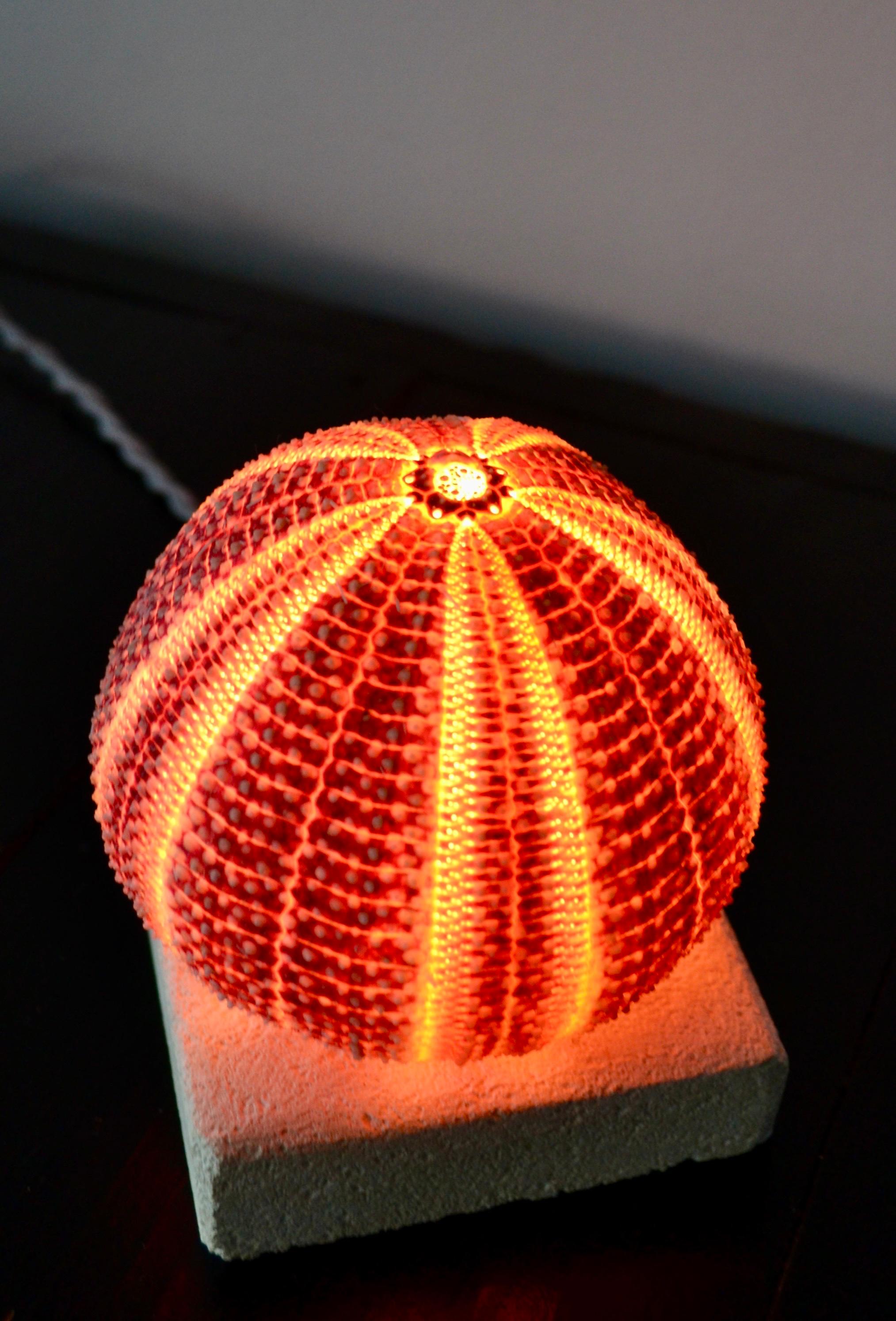 Provincial français Une lampe «oursin » - Art populaire français - 1970 en vente