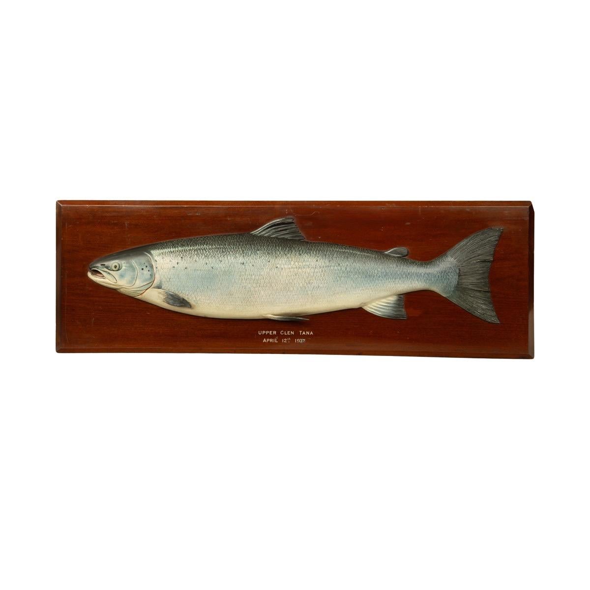 A painted wooden model of a prize winning salmon by C. Farlow, meticulously painted in polychrome and set on a mahogany backboard inscribed ‘Upper Glen Tana, April 12th 1937’, from the size of the model the fish would have weighed approximately 25