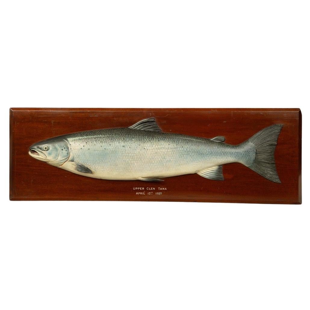A painted wooden model of a prize winning salmon by C. Farlow