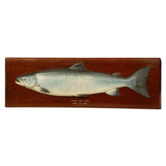 Retro A painted wooden model of a prize winning salmon by C. Farlow
