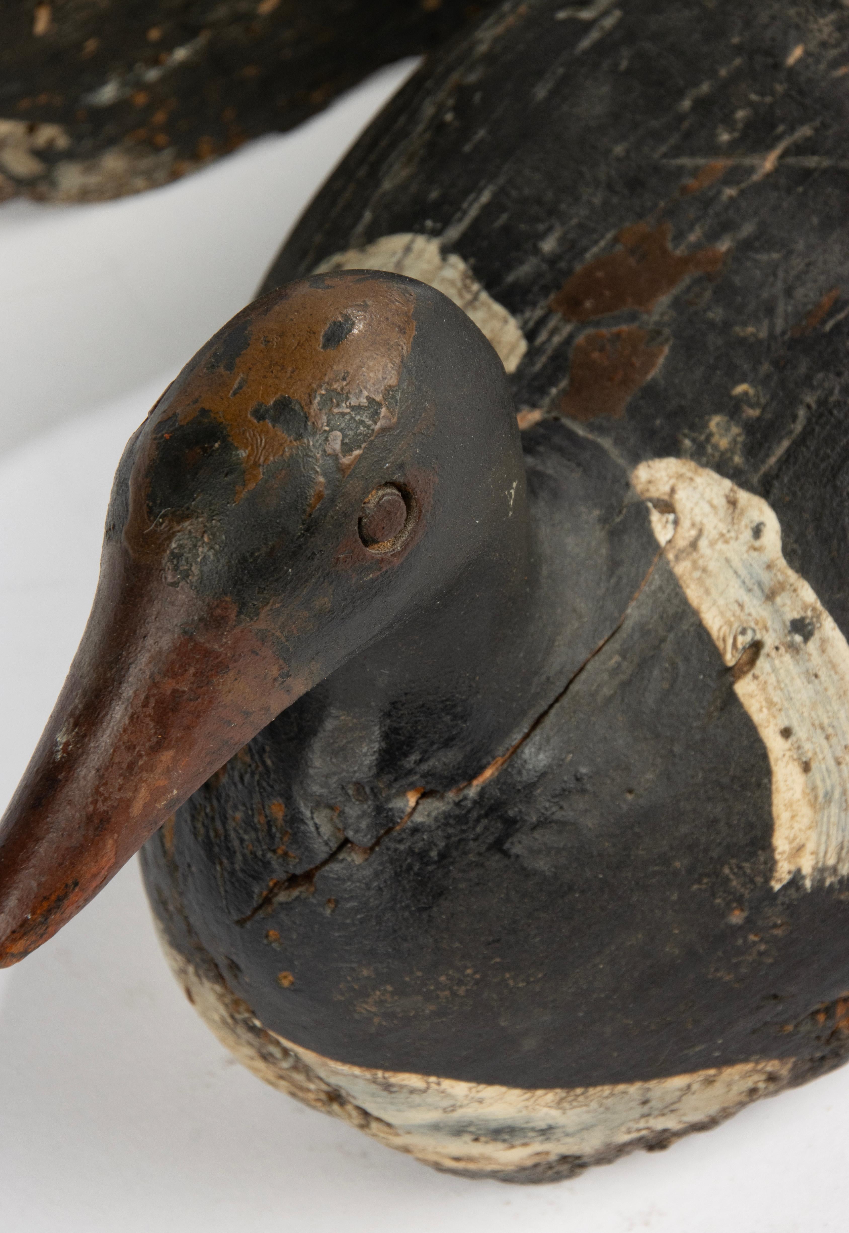 A Pair 19th Century Decoy Ducks 2