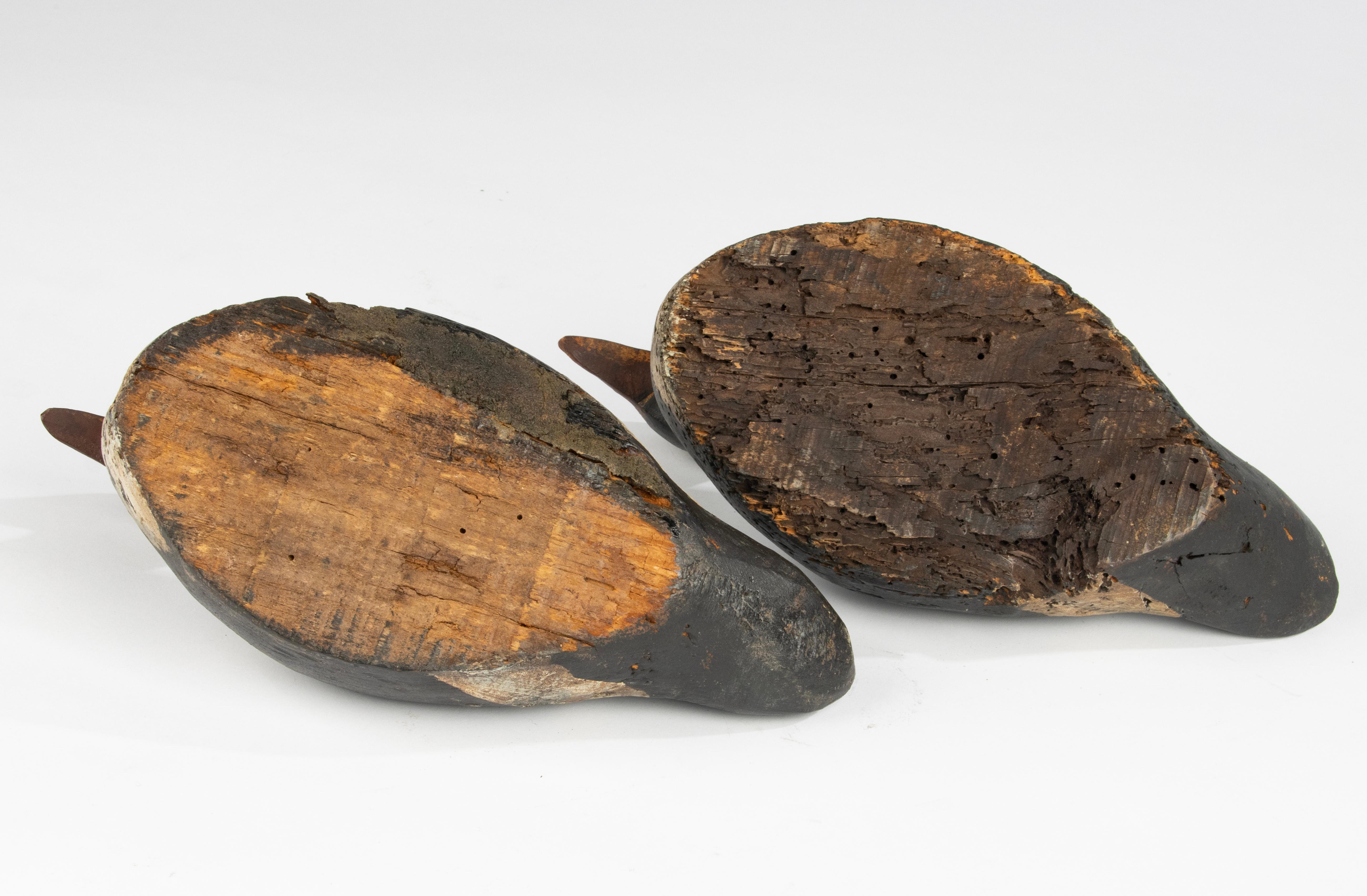 A Pair 19th Century Decoy Ducks 3