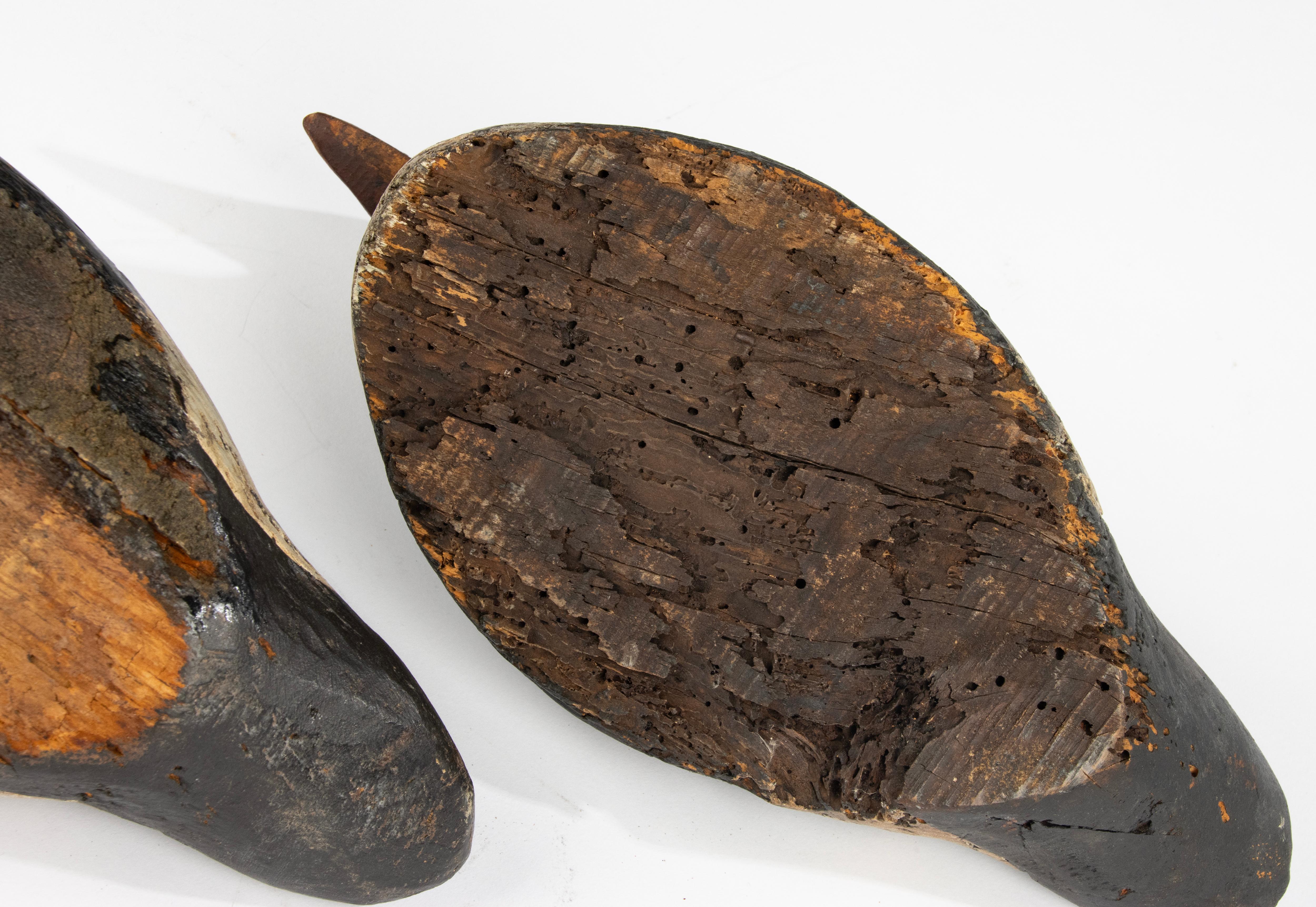 A Pair 19th Century Decoy Ducks 4