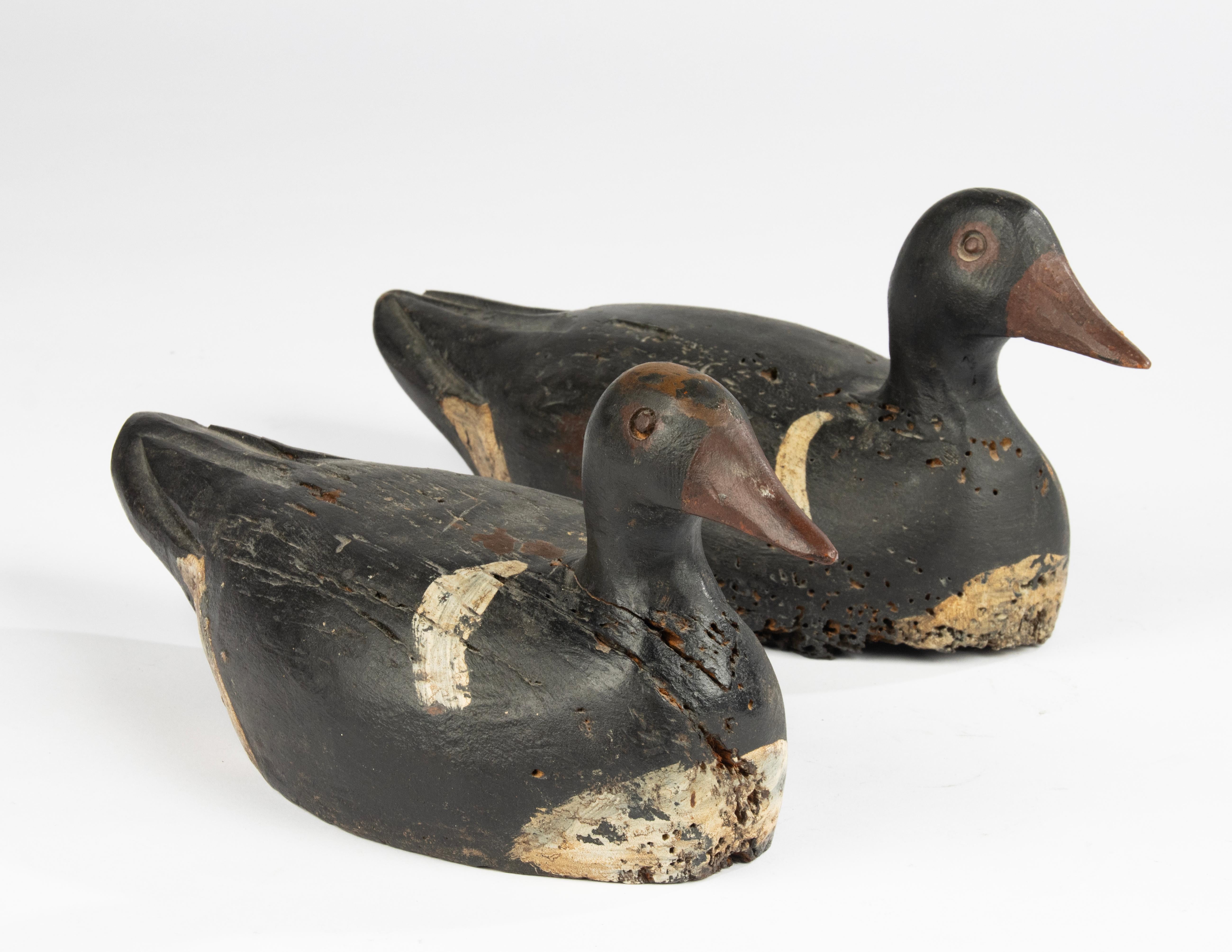 A Pair 19th Century Decoy Ducks 5
