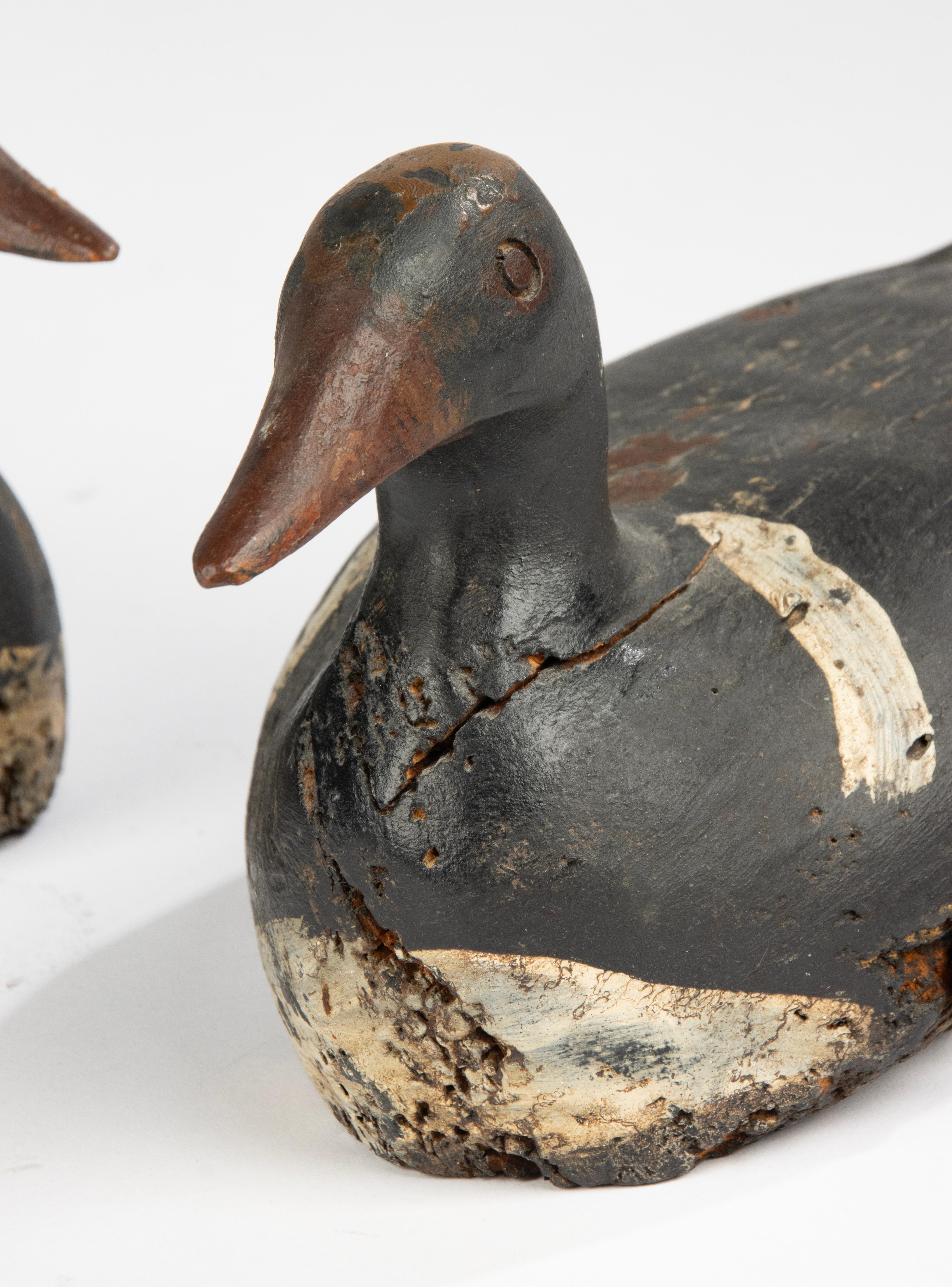 A Pair 19th Century Decoy Ducks 6