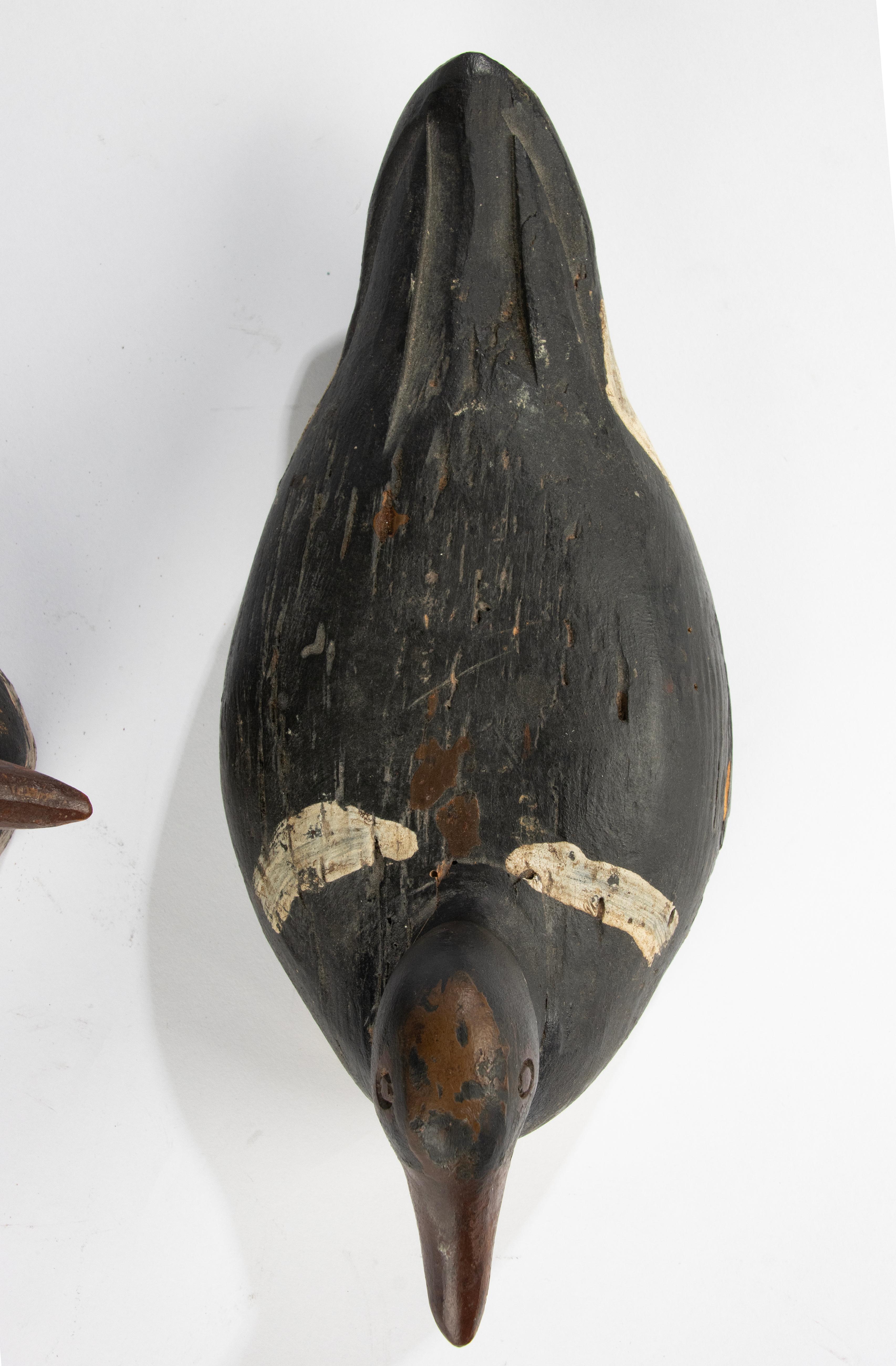 A Pair 19th Century Decoy Ducks 7