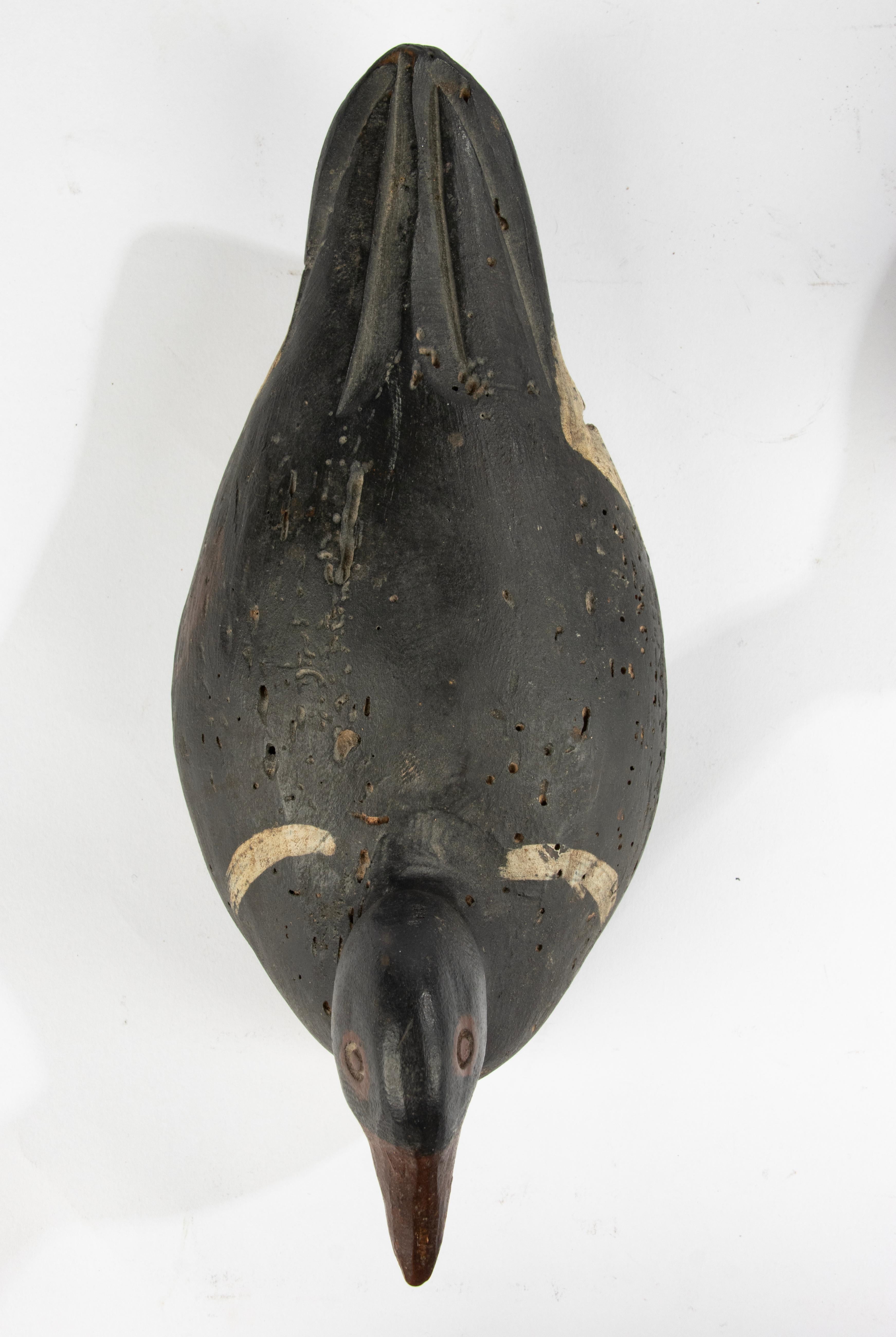 A Pair 19th Century Decoy Ducks 8