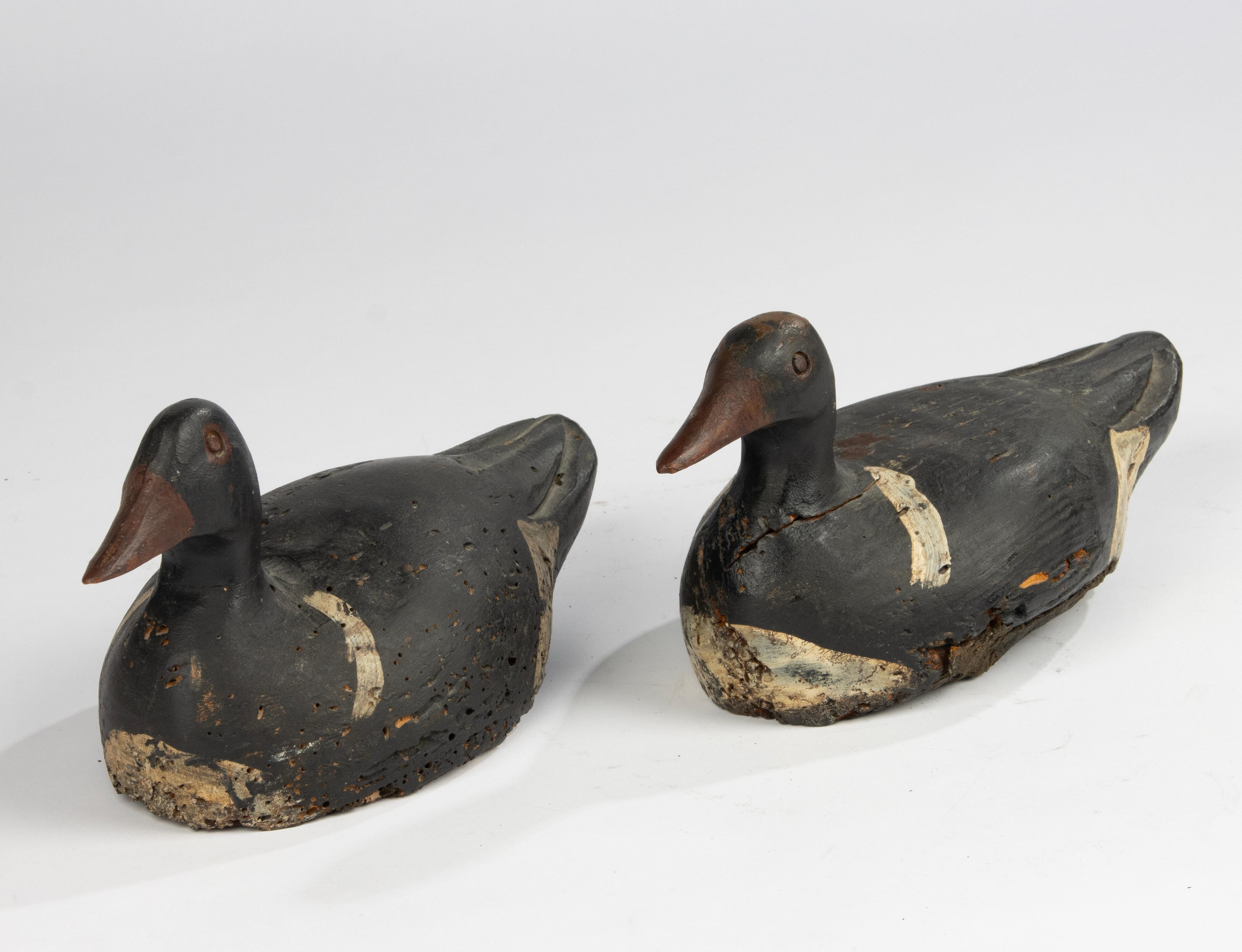 A Pair 19th Century Decoy Ducks 10