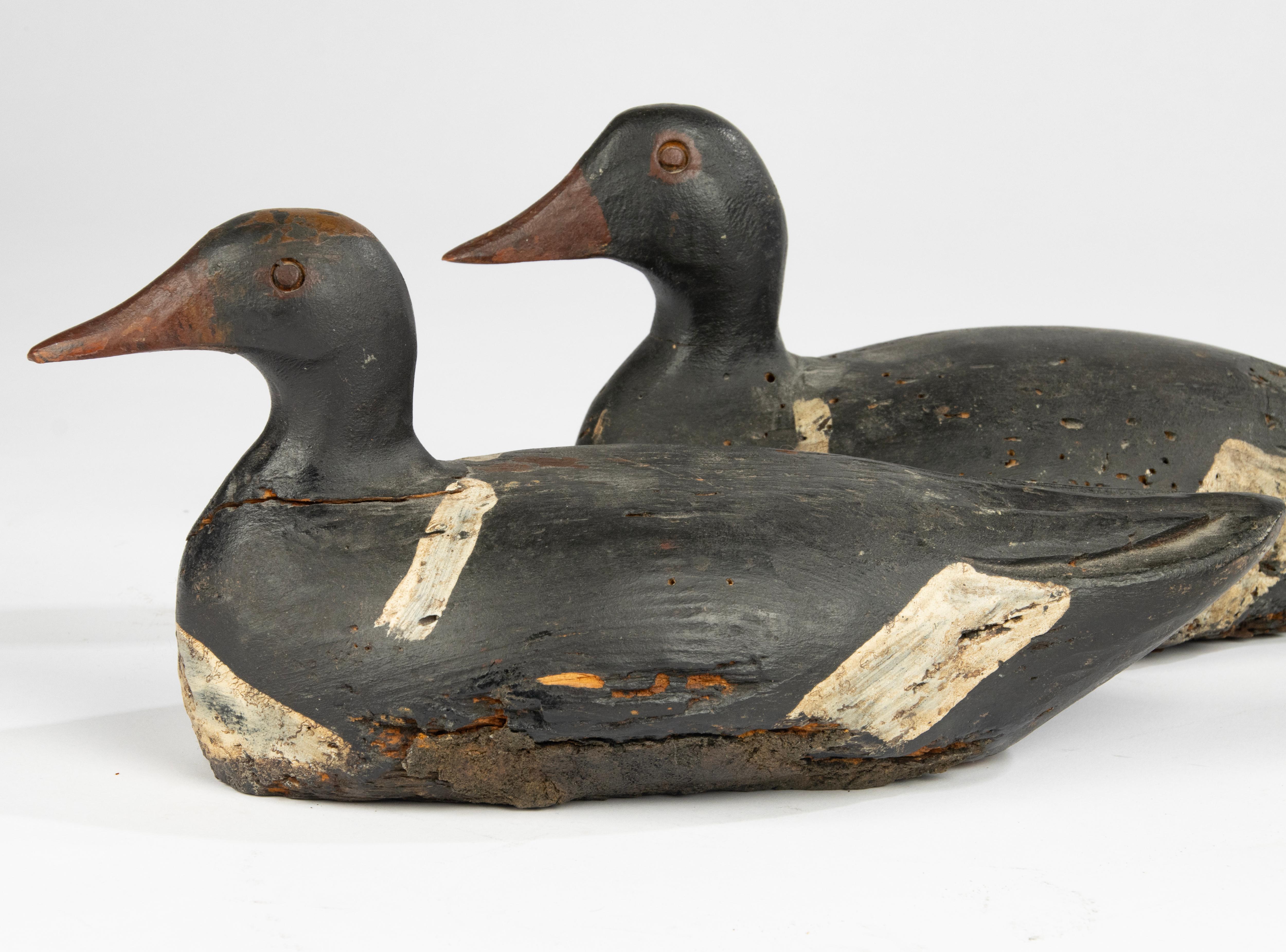 antique wood ducks