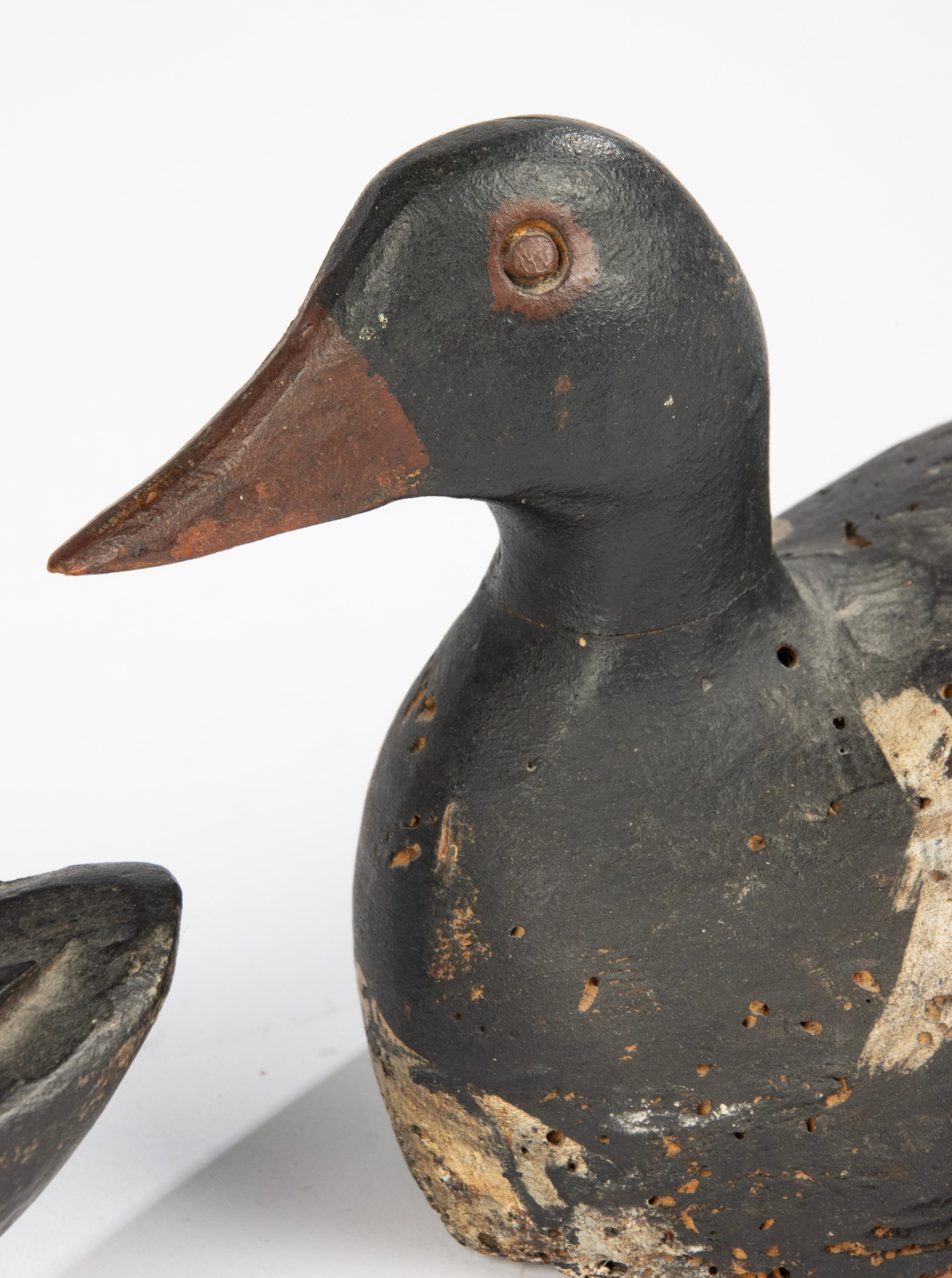 French A Pair 19th Century Decoy Ducks