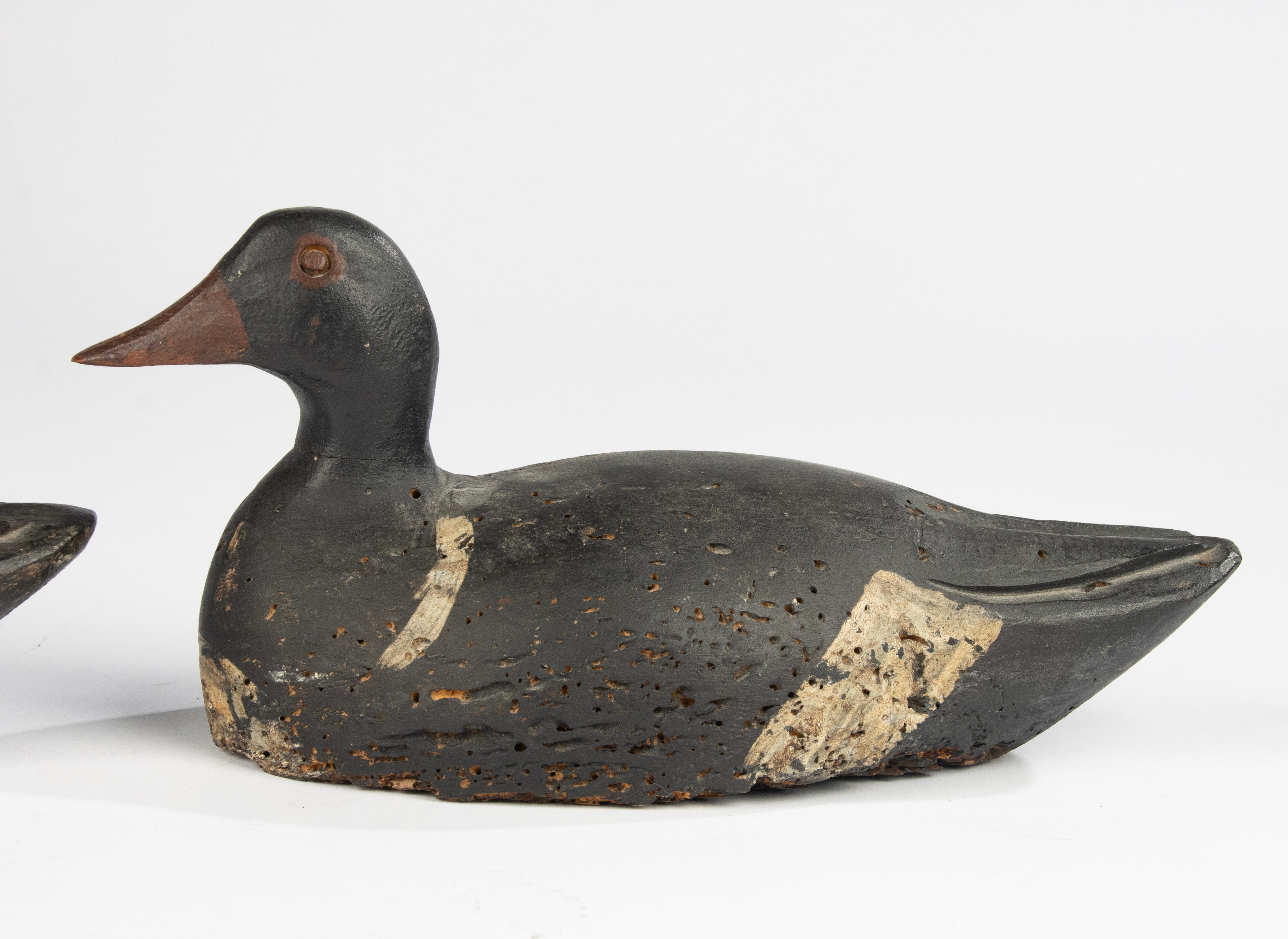 A Pair 19th Century Decoy Ducks In Good Condition In Casteren, Noord-Brabant