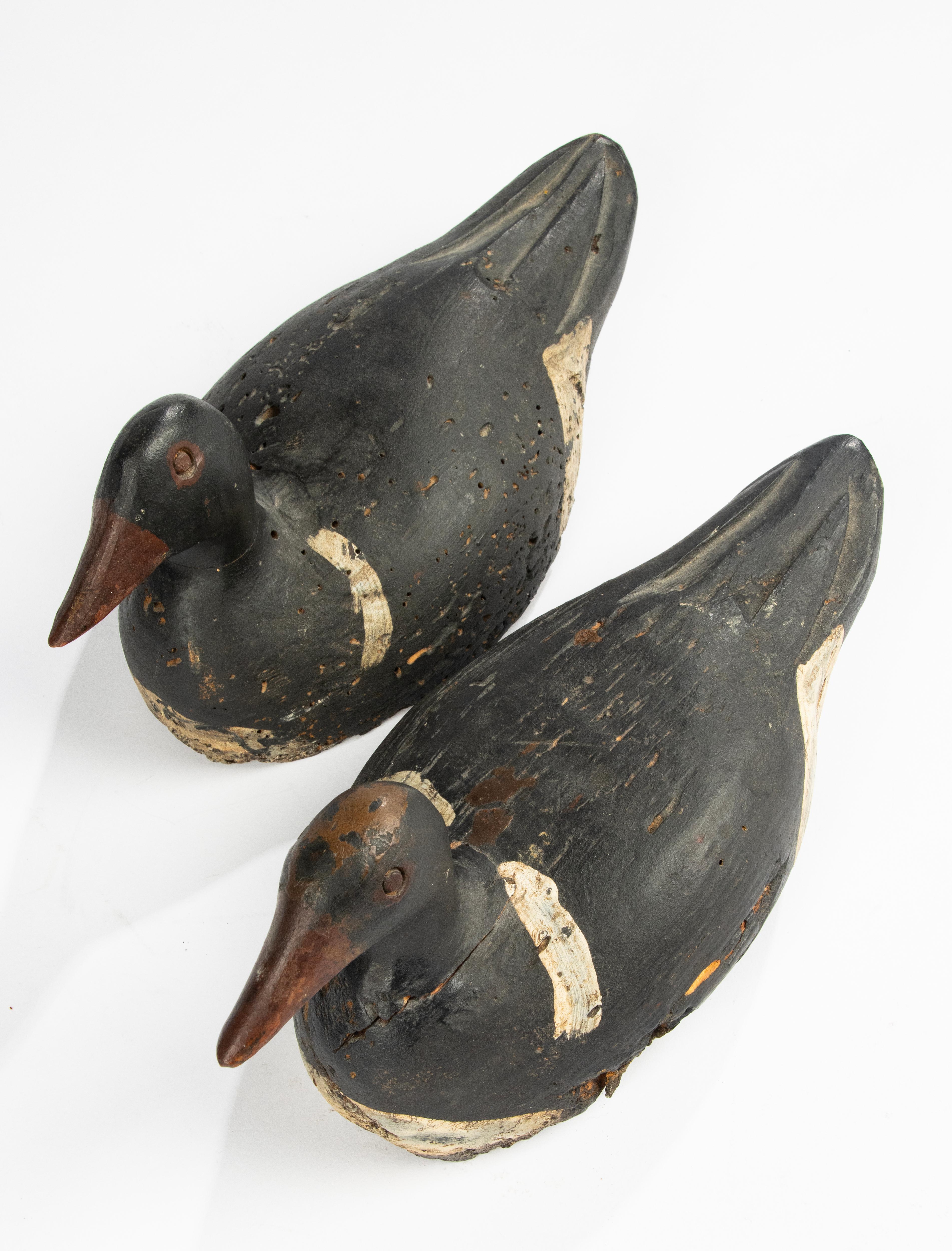 Wood A Pair 19th Century Decoy Ducks